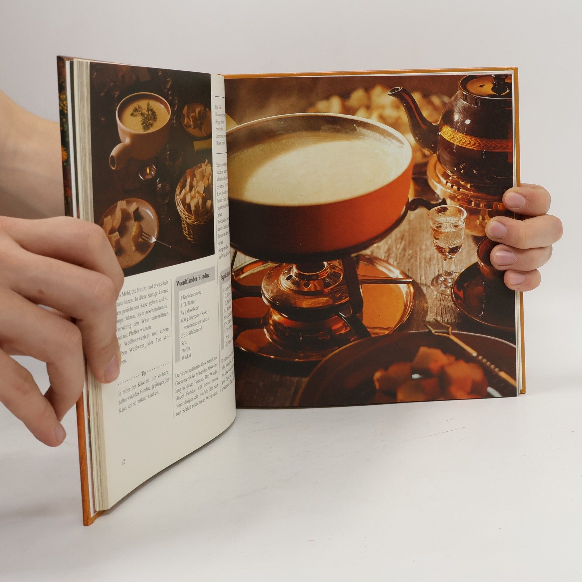 Autorenkollektiv Fondues, Flambieren, Raclette
