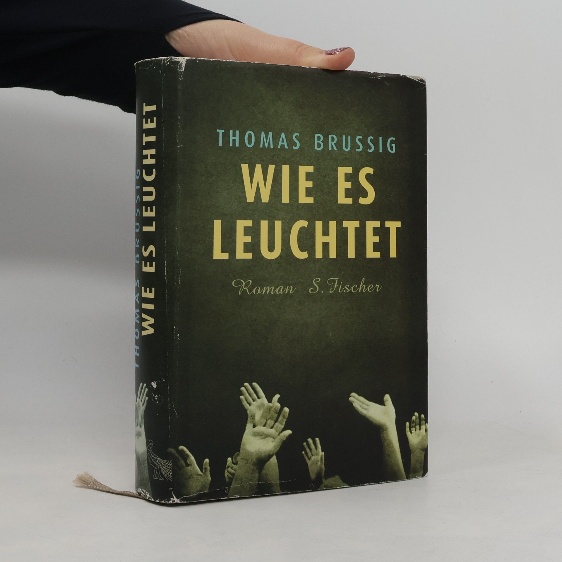 Thomas Brussig Wie es leuchtet