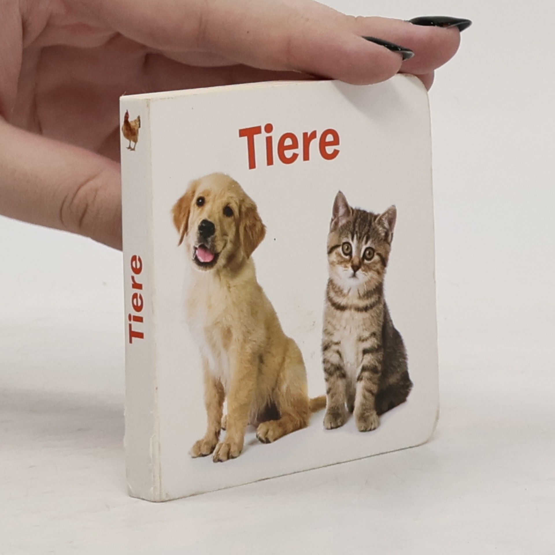 kolektiv Tiere