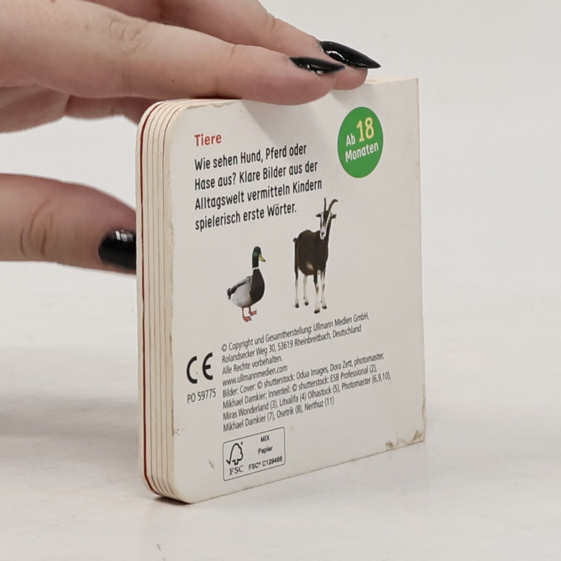 kolektiv Tiere