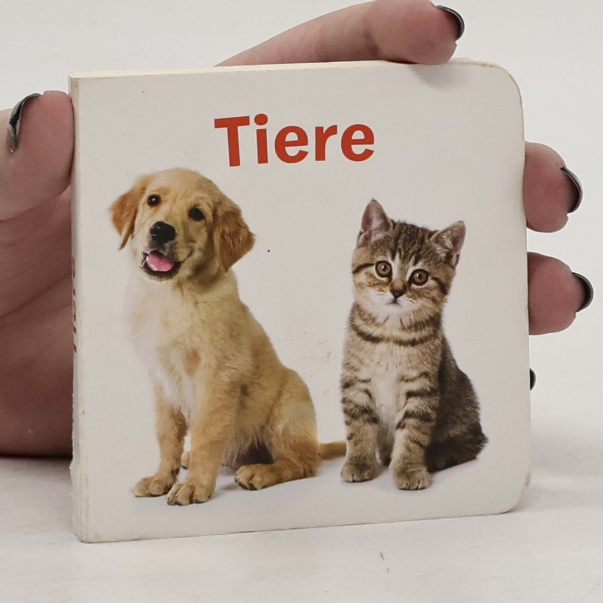 kolektiv Tiere