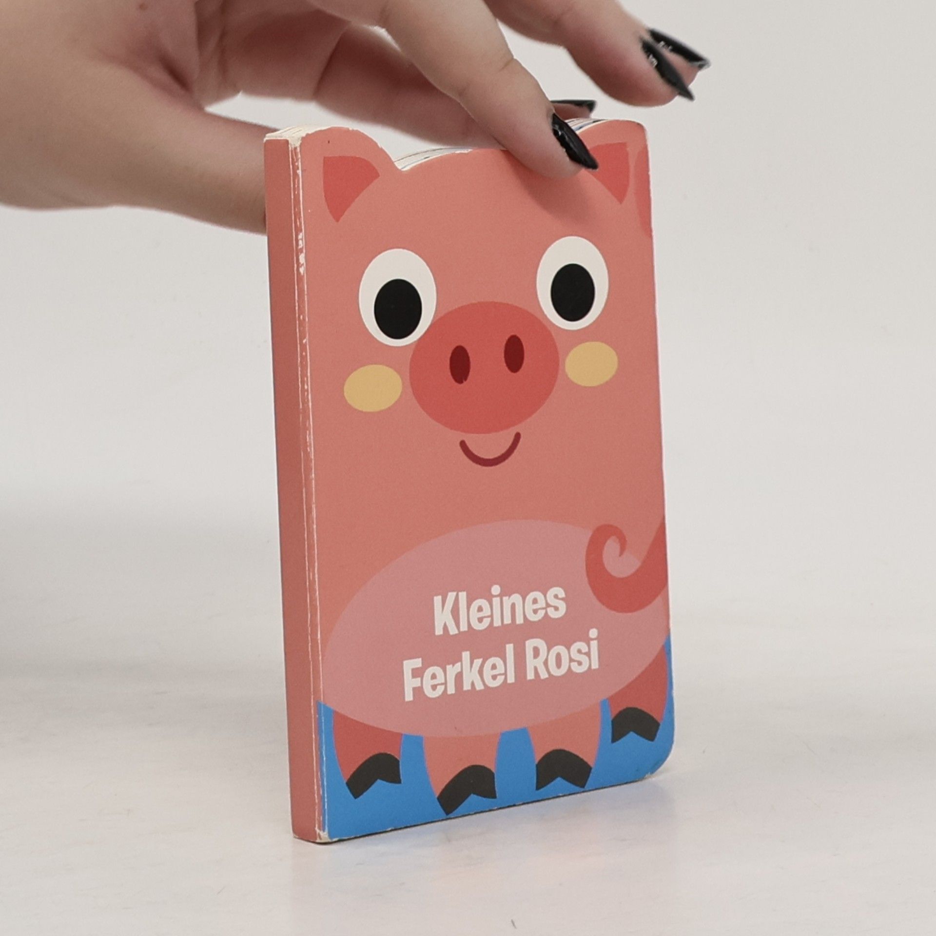 kolektiv Kleines Ferkel Rosi
