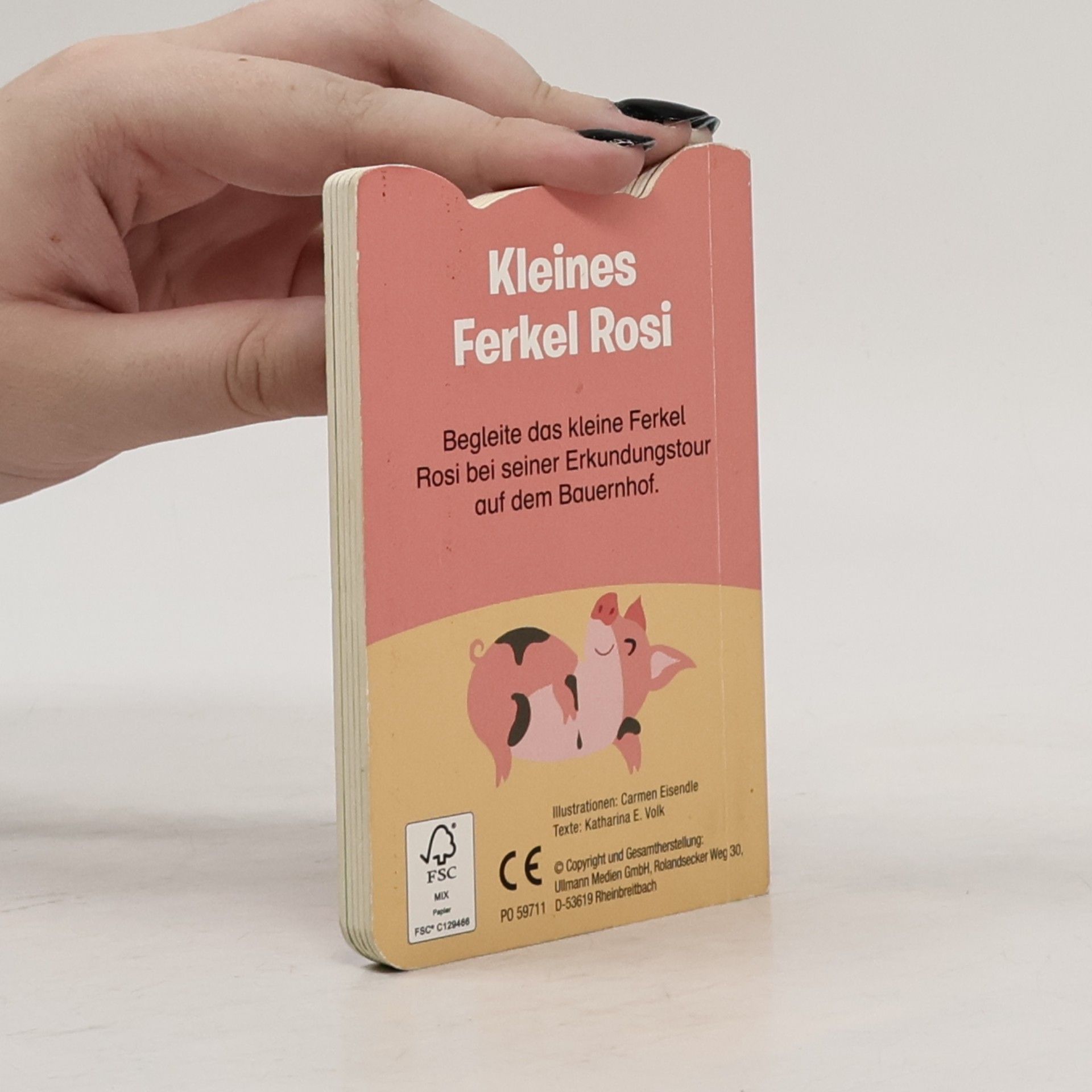 kolektiv Kleines Ferkel Rosi
