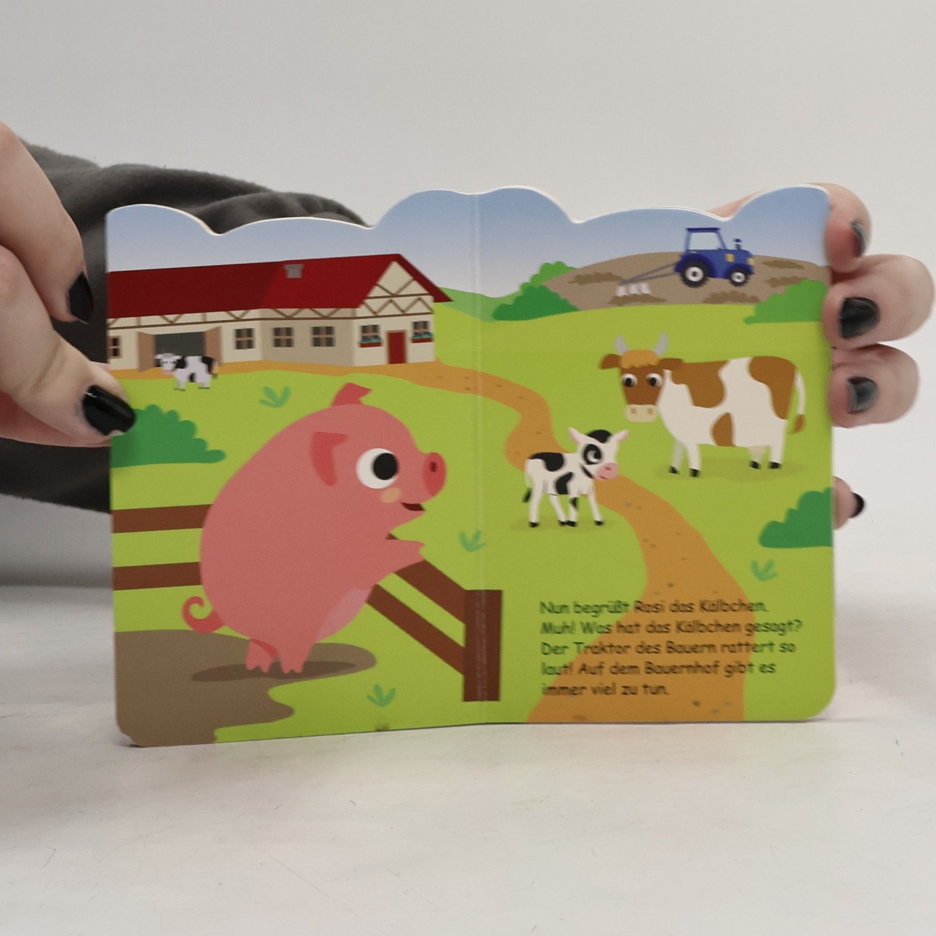 kolektiv Kleines Ferkel Rosi