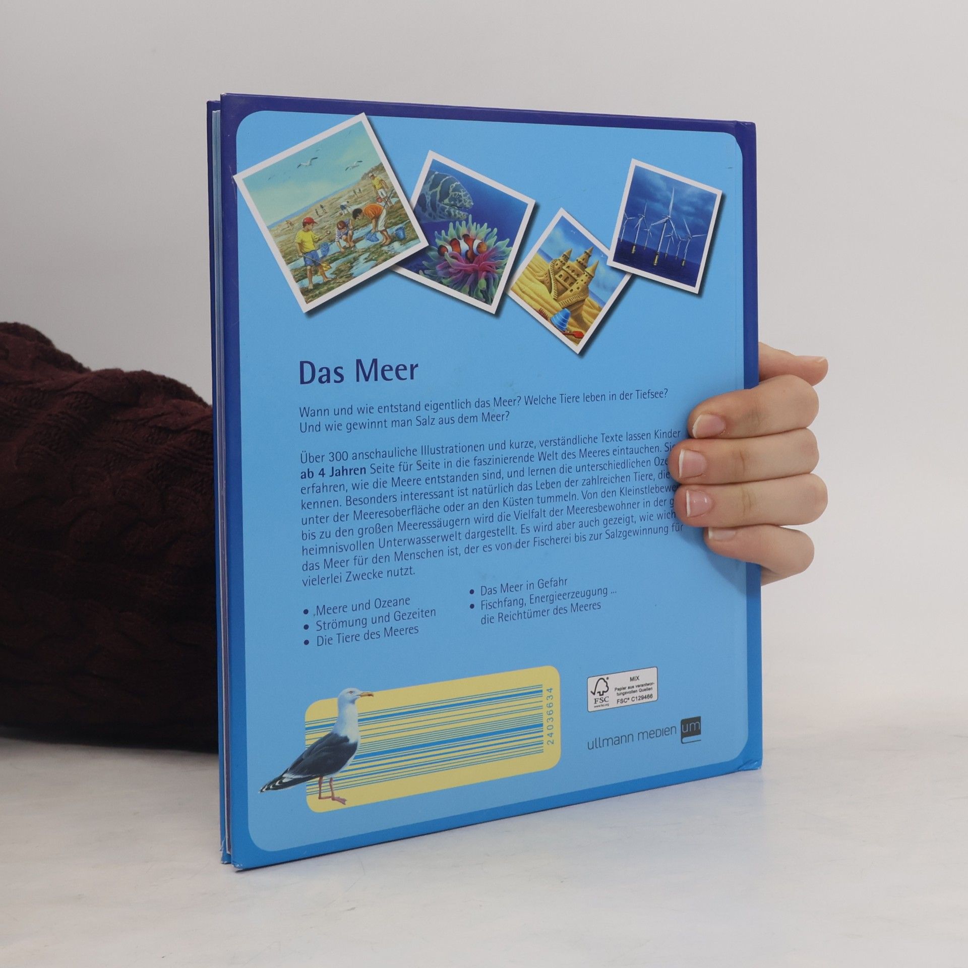 Autorenkollektiv Das Meer