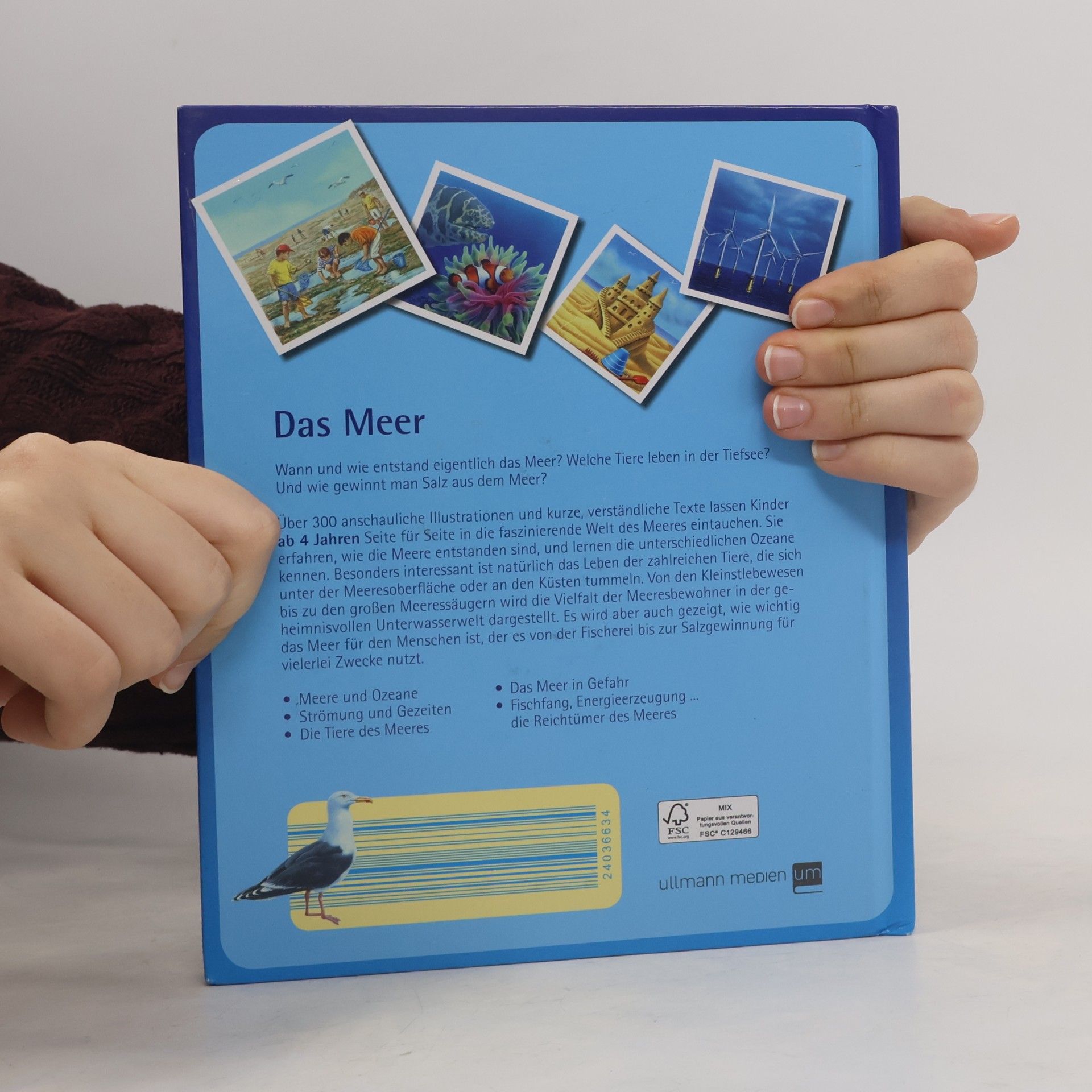Autorenkollektiv Das Meer