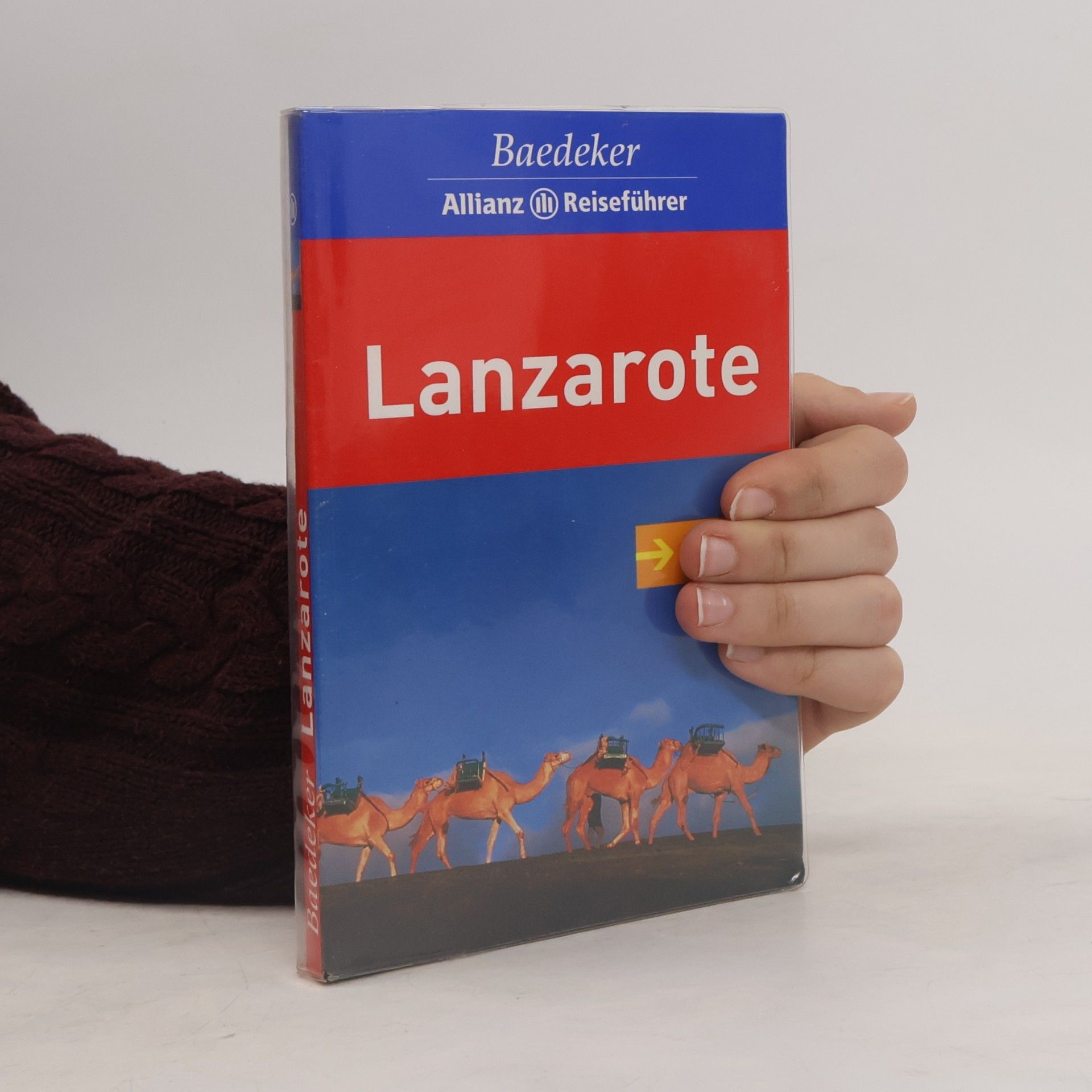 Eva Missler Lanzarote - Mit großer Reisekarte