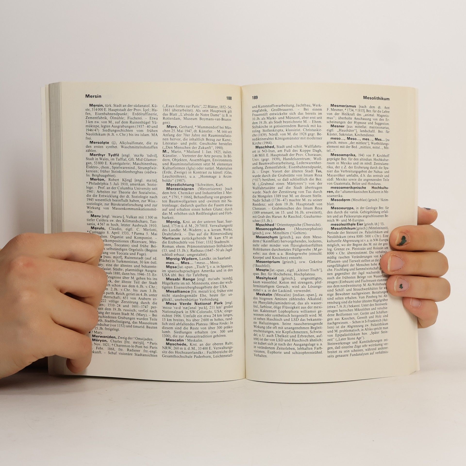 Rudolf Ohlig Meyers grosses Taschenlexikon : in 24 Bänden. Bd. 14., Malt-Mom