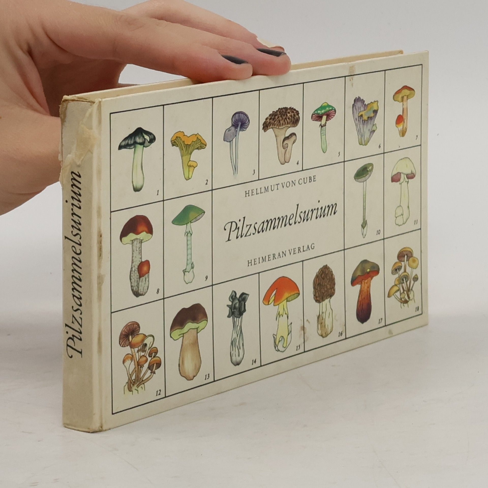 Hellmut von Cube Pilzsammelsurium