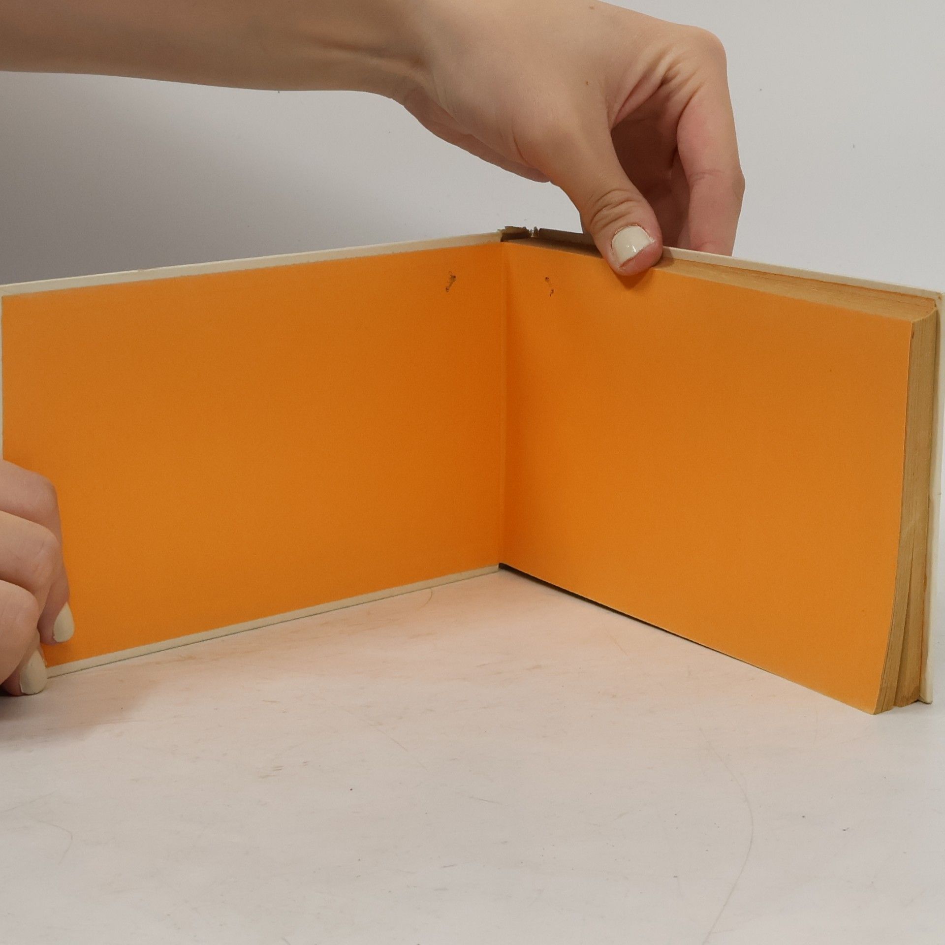 Hellmut von Cube Pilzsammelsurium