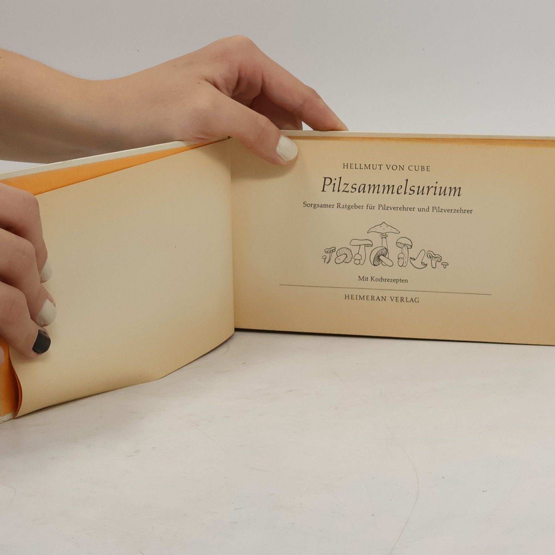 Hellmut von Cube Pilzsammelsurium