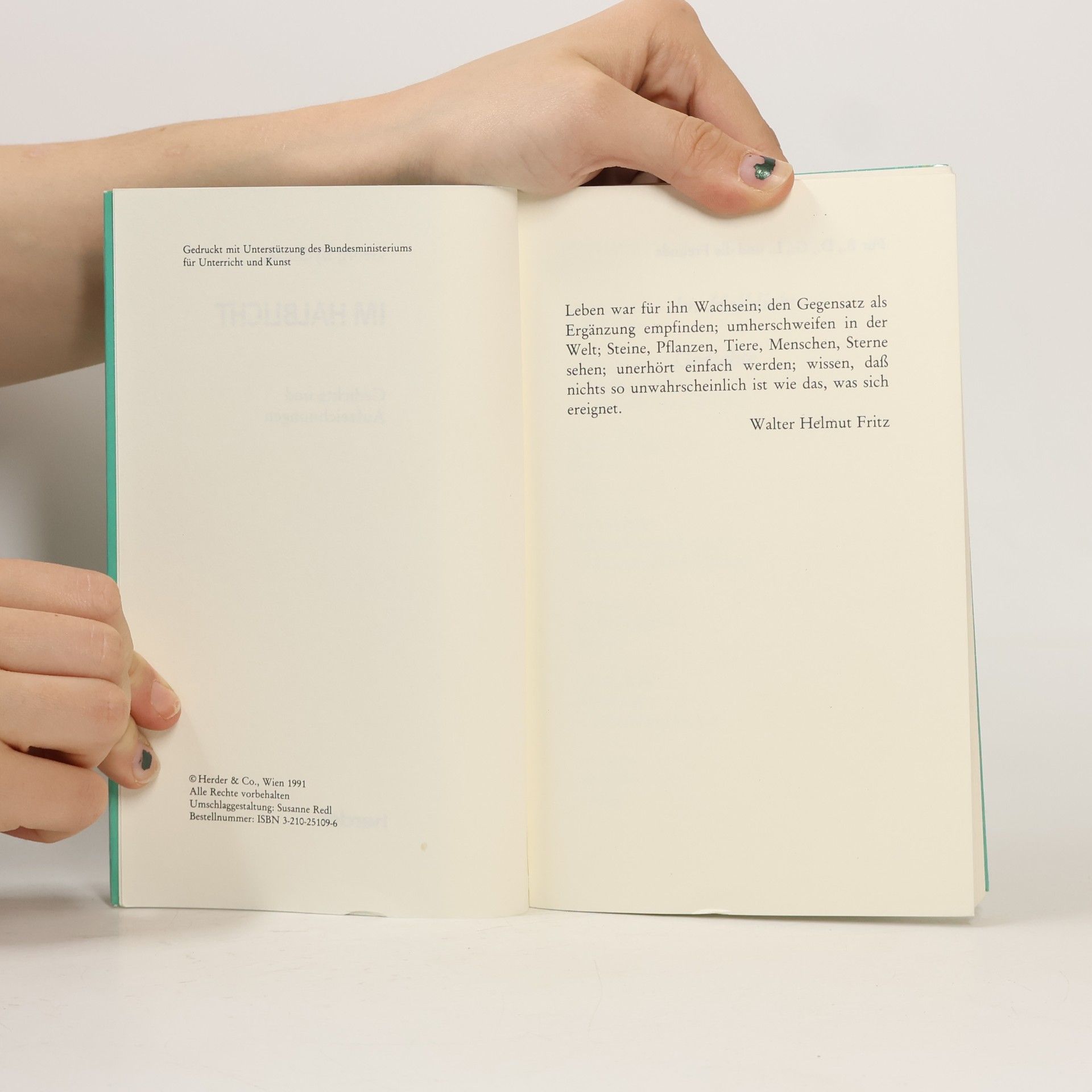 Georg Bydlinski Im Halblicht