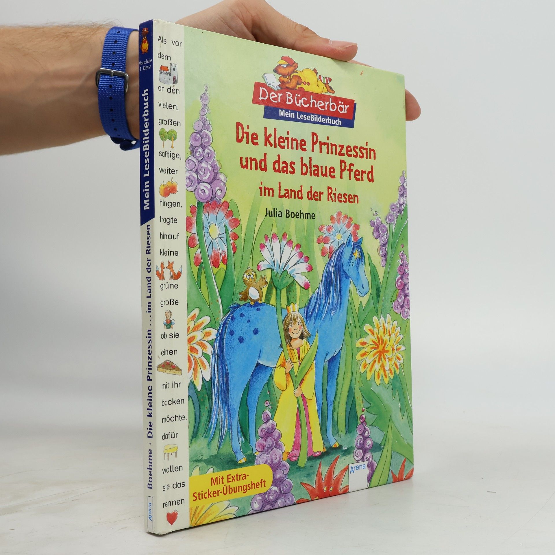 Julia Boehme Die kleine Prinzessin und das blaue Pferd im Land der Riesen