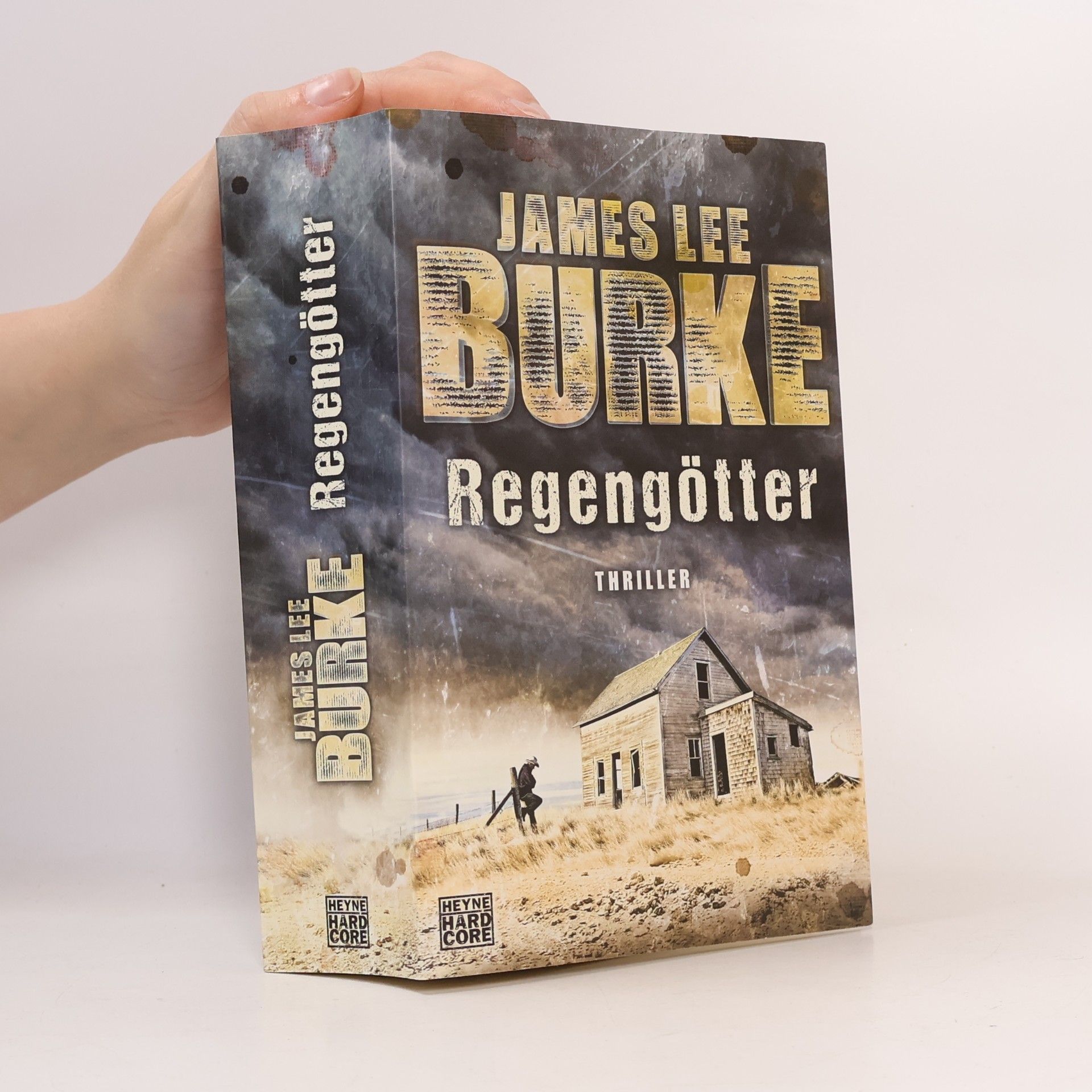 James Lee Burke Regengötter