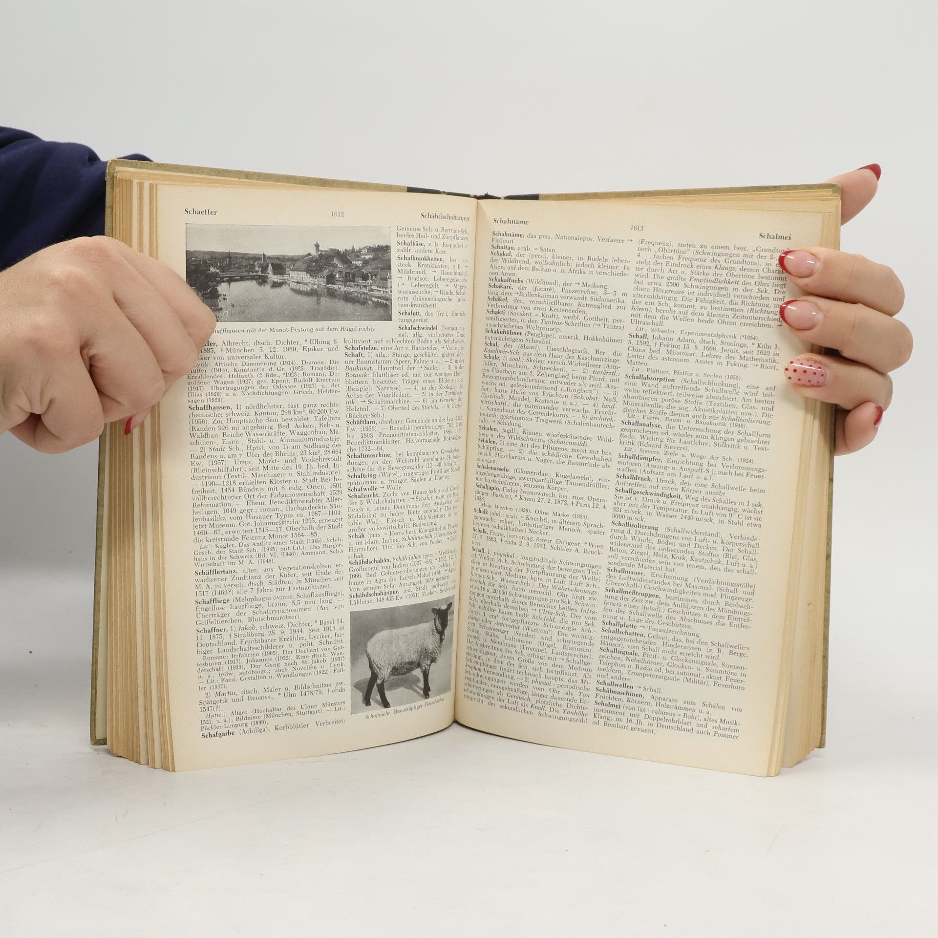 Autorenkollektiv Das neue Lexikon III. Ophthal bis Z