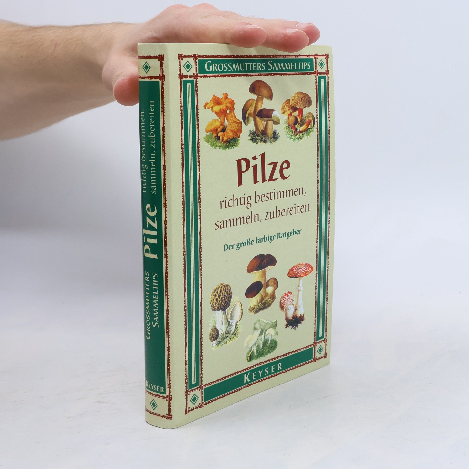 Pilze