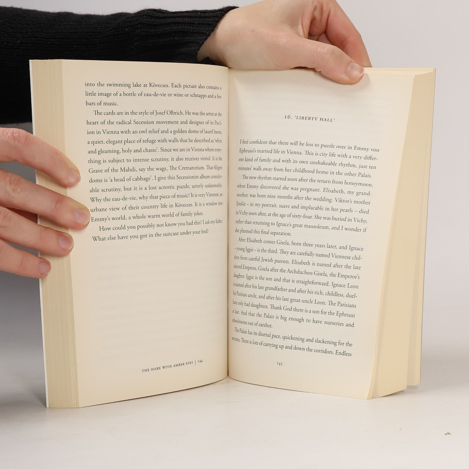 Edmund de Waal The hare with amber eyes. A hidden inheritance