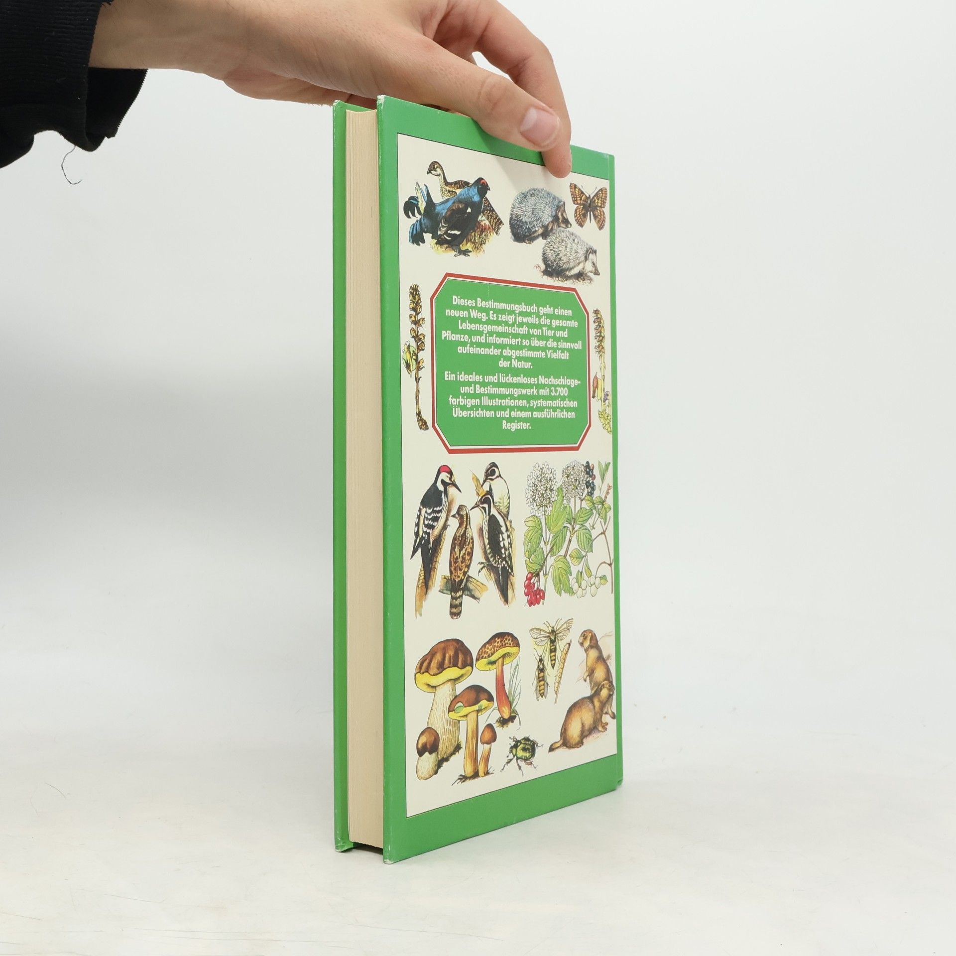 Autorenkollektiv Handbuch der Tiere und Pflanzen