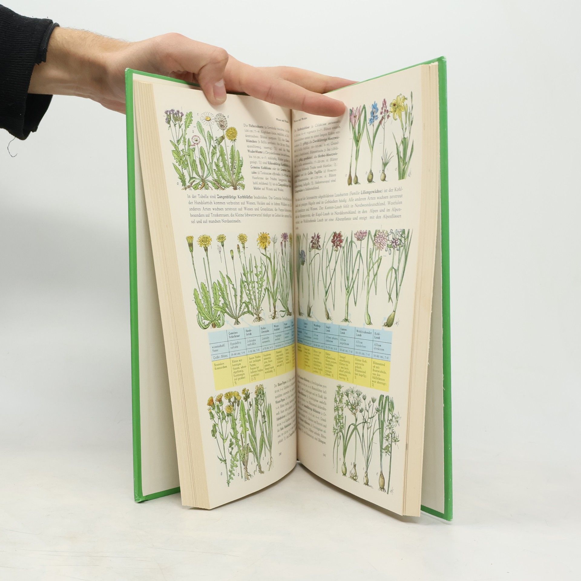 Autorenkollektiv Handbuch der Tiere und Pflanzen