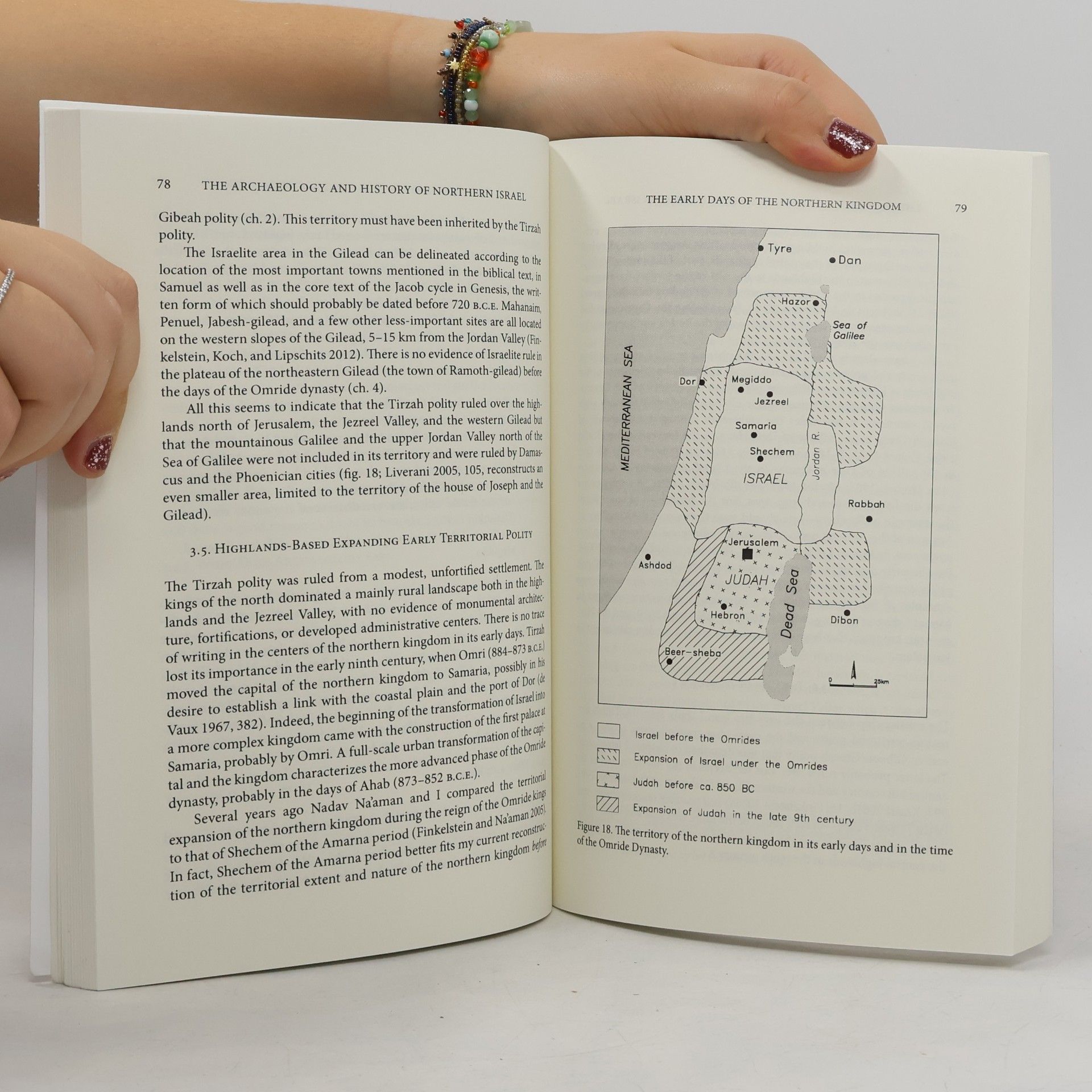 Israel Finkelstein The Forgotten Kingdom: The Archaeology and History of Northern Israel
