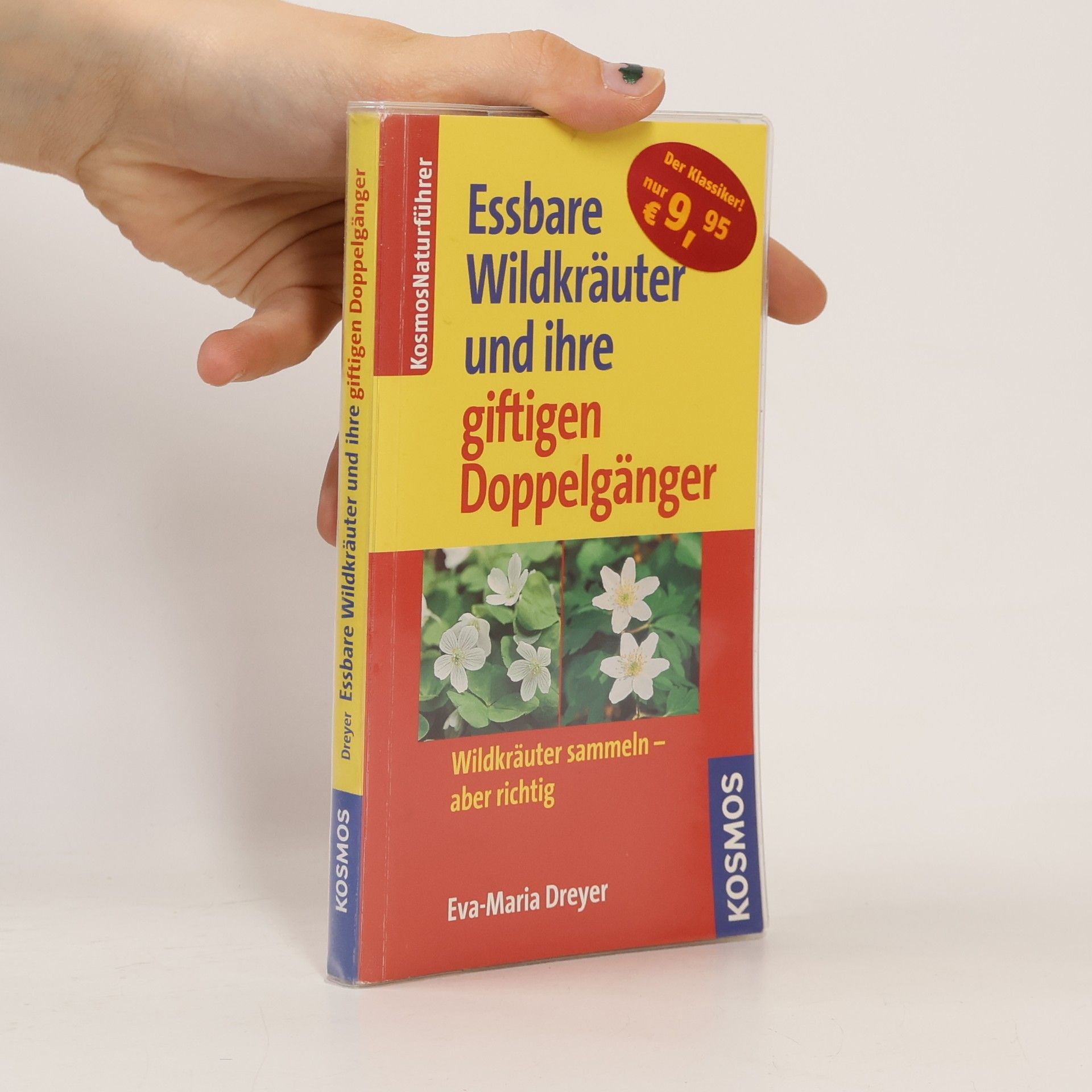Essbare Wildkräuter und ihre giftigen Doppelgänger