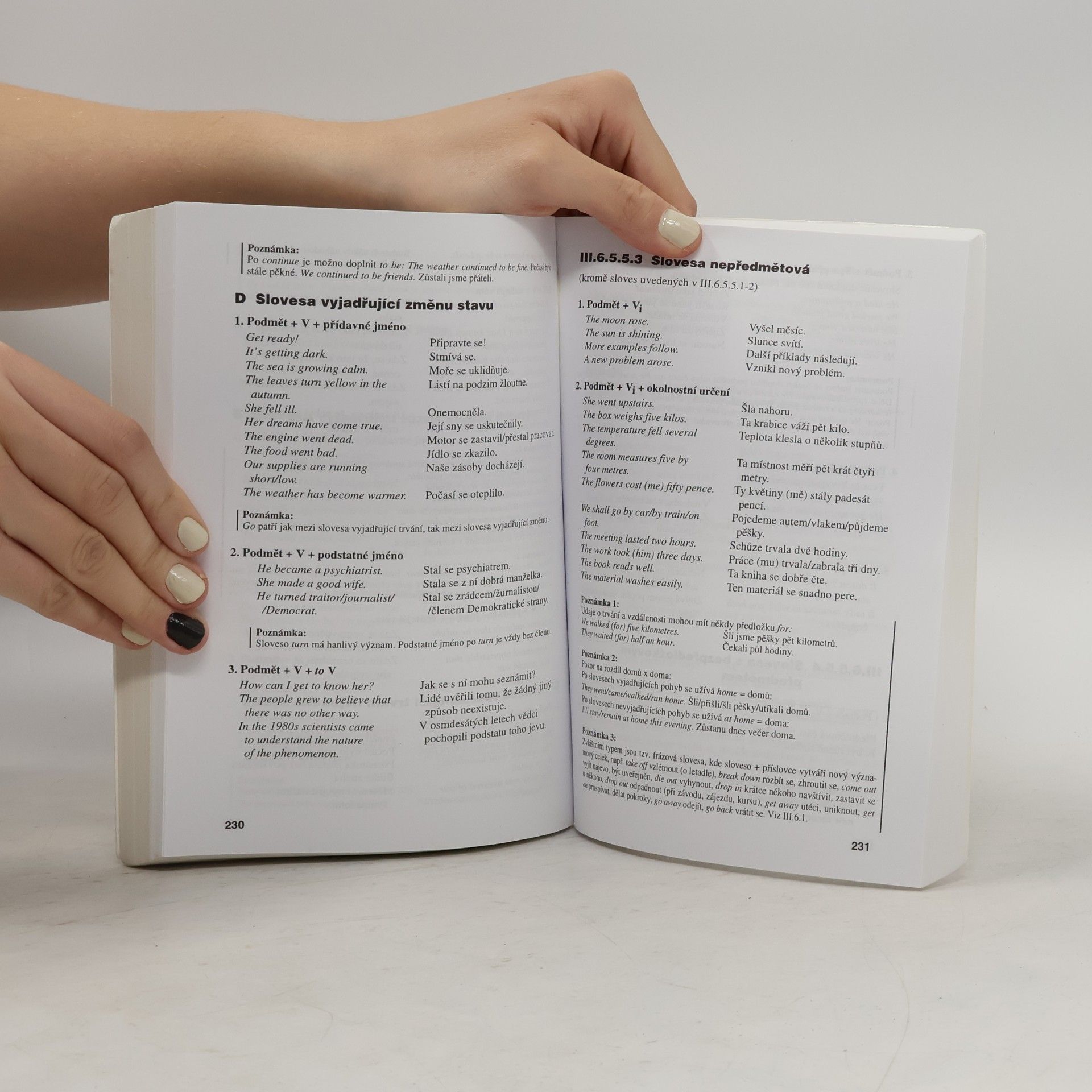 Strnadová Zdenka Mluvnice angličtiny. Professional English Grammar Book