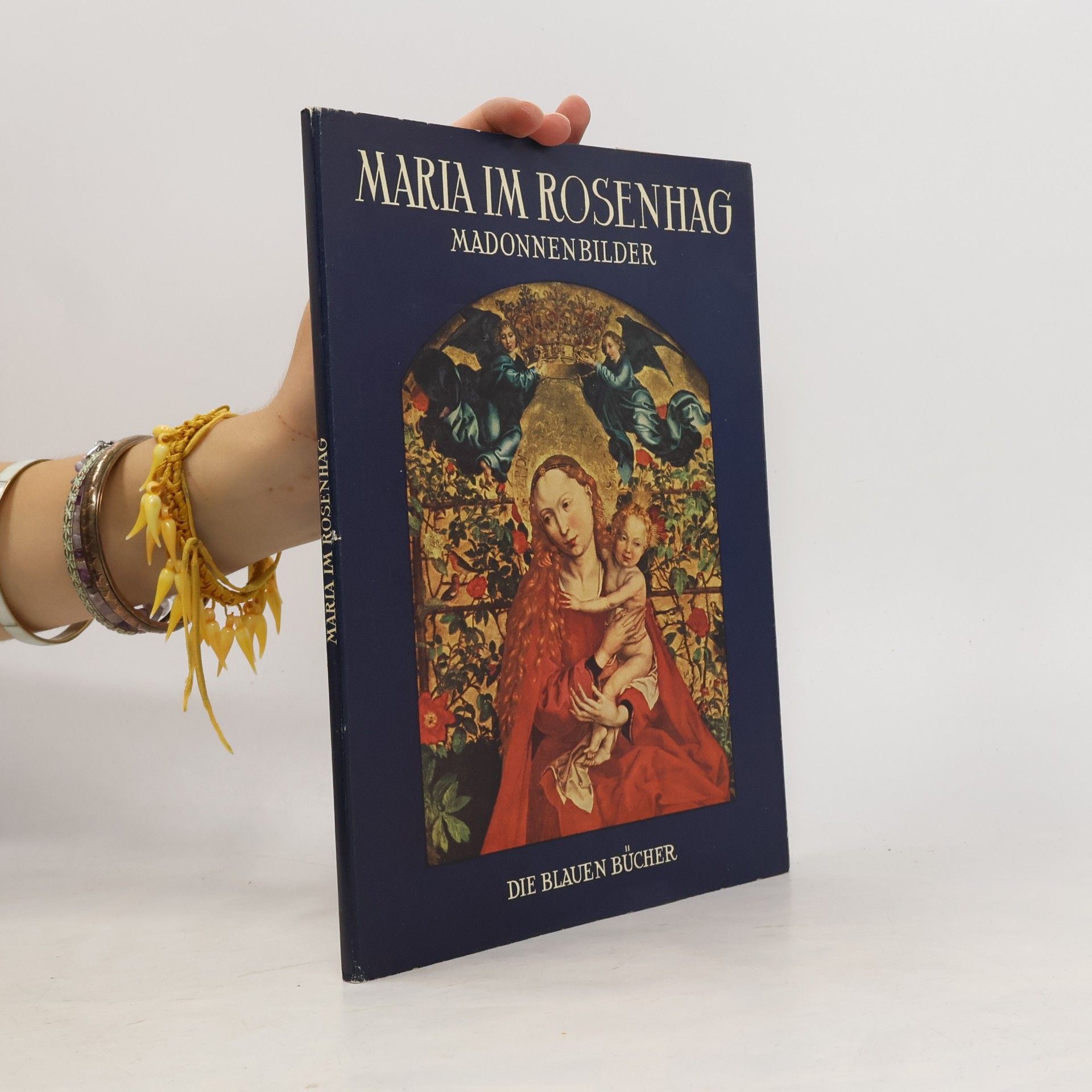 Kolektiv autorů Maria im Rosenhag