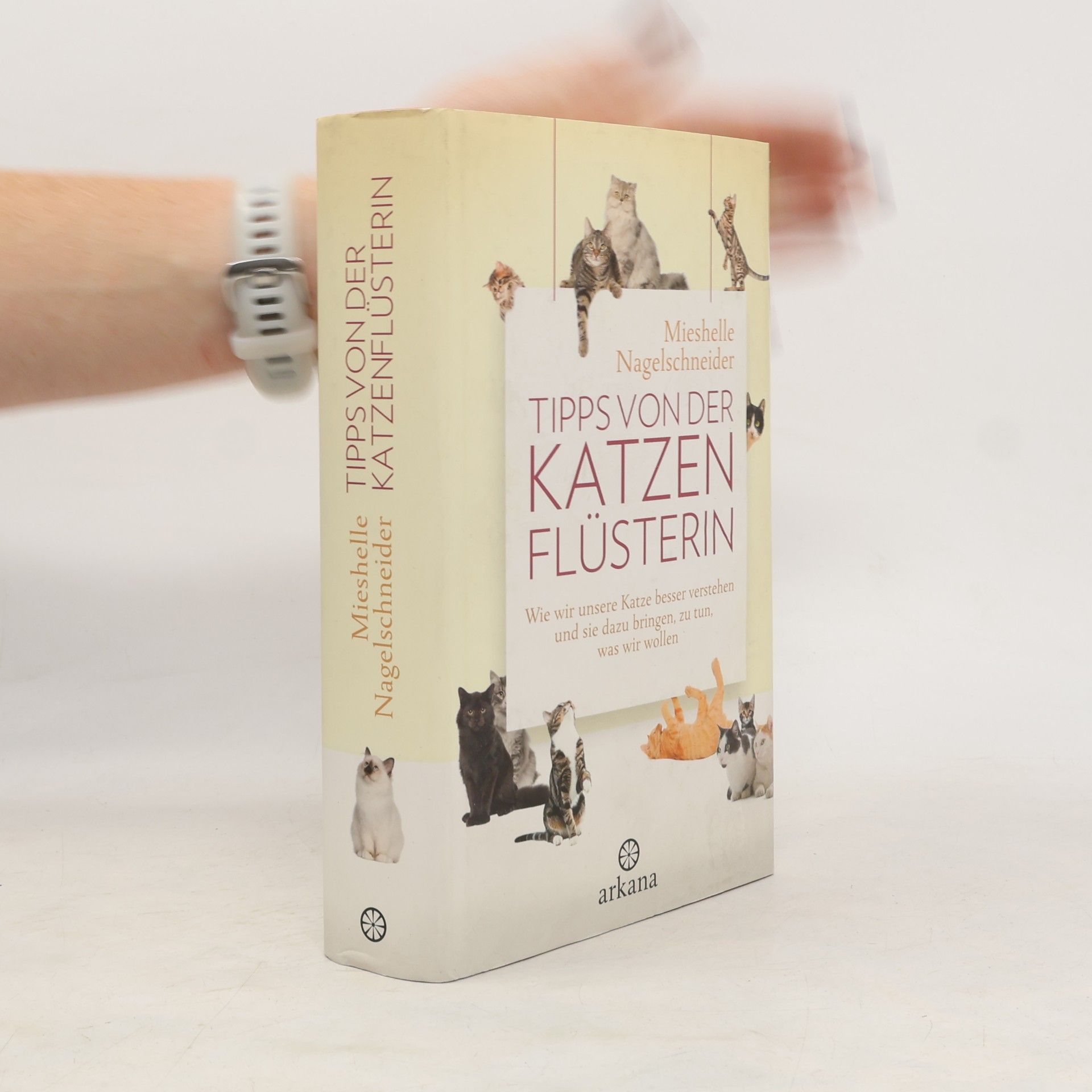 Mieshelle Nagelschneider Tipps von der Katzenflüsterin