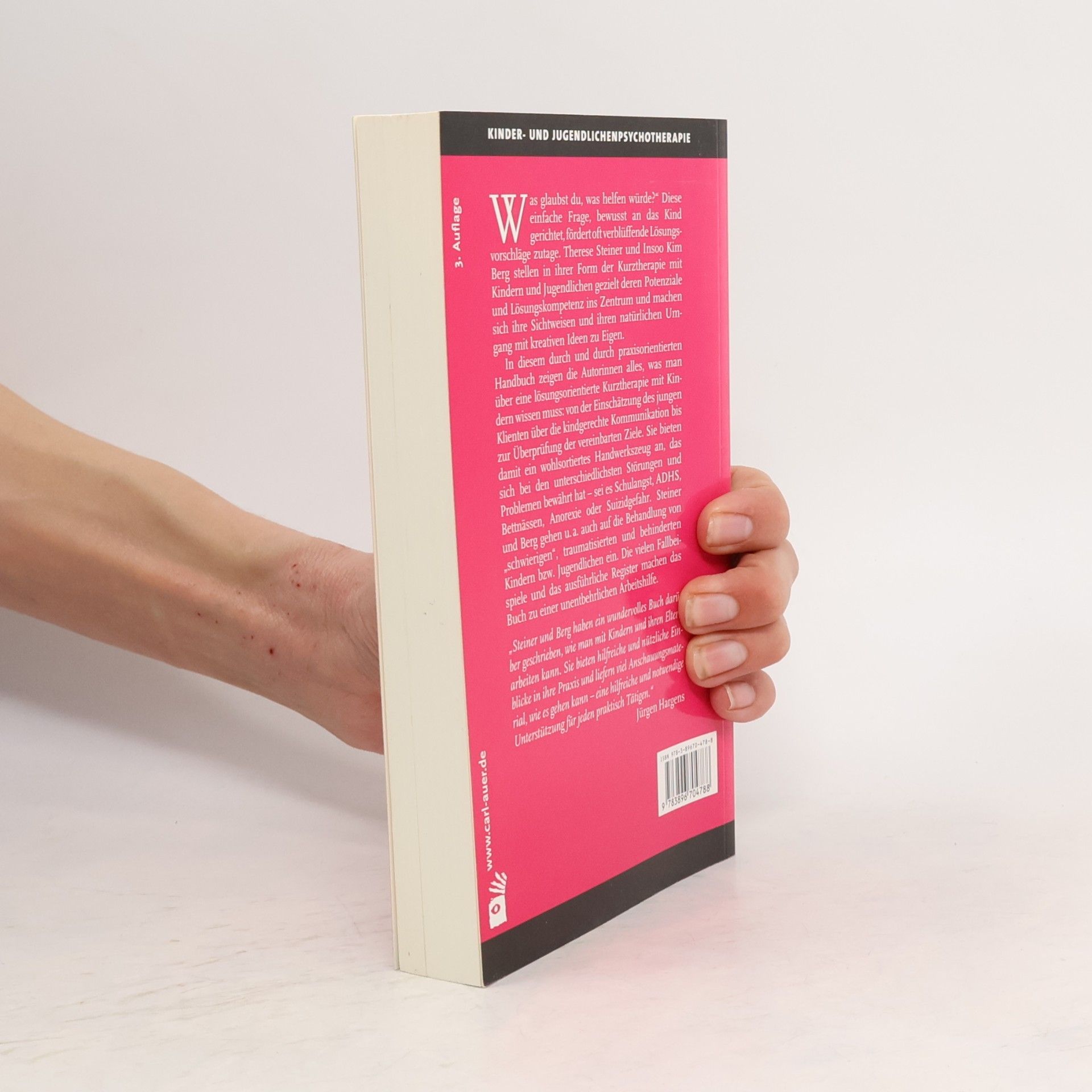 Therese Steiner Handbuch lösungsorientiertes Arbeiten mit Kindern