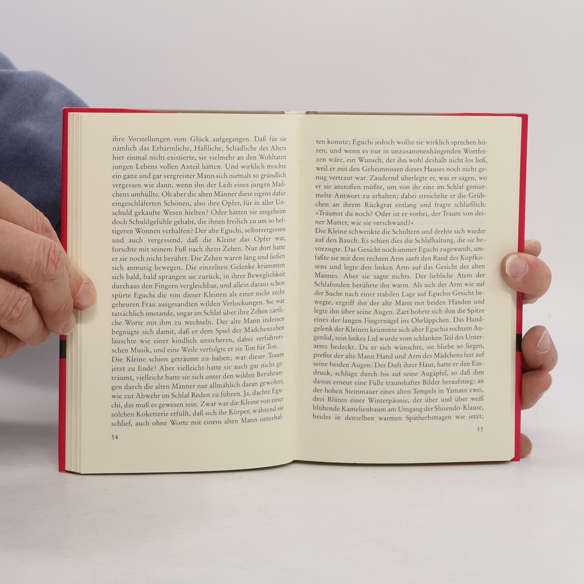Yasunari Kawabata Die schlafenden Schönen