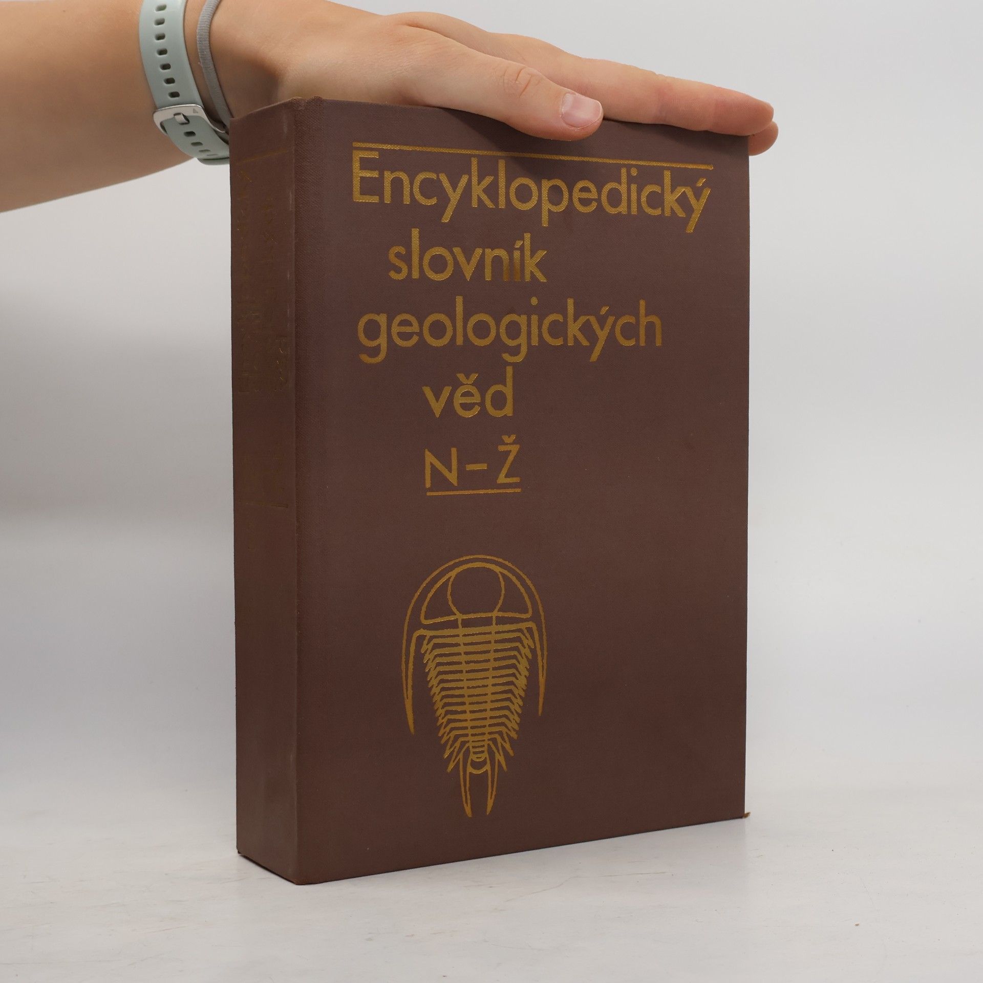 Kolektív autorov Encyklopedický slovník geologických věd 2. N-Ž