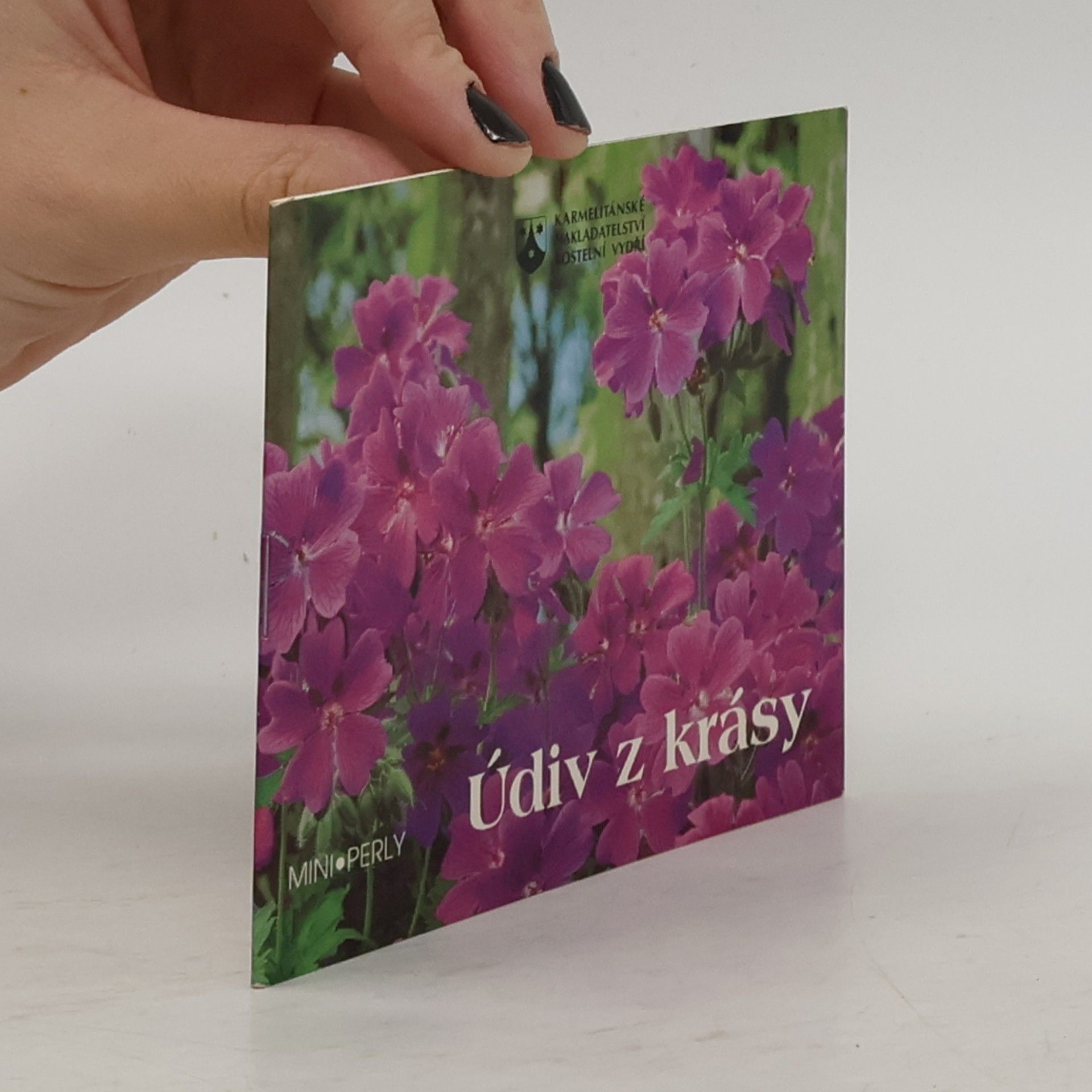 Údiv z krásy