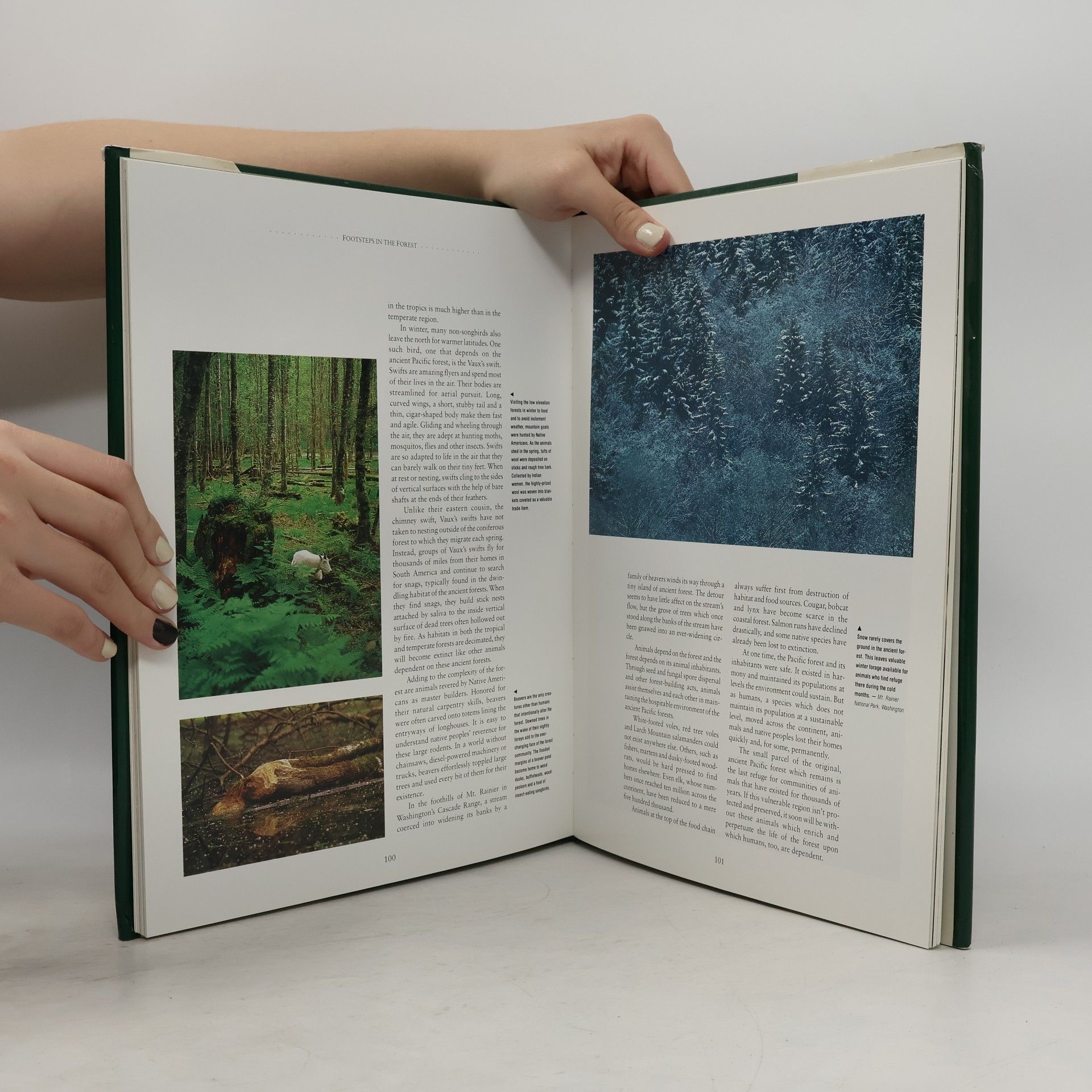 Gerry Ellis America's Rainforests