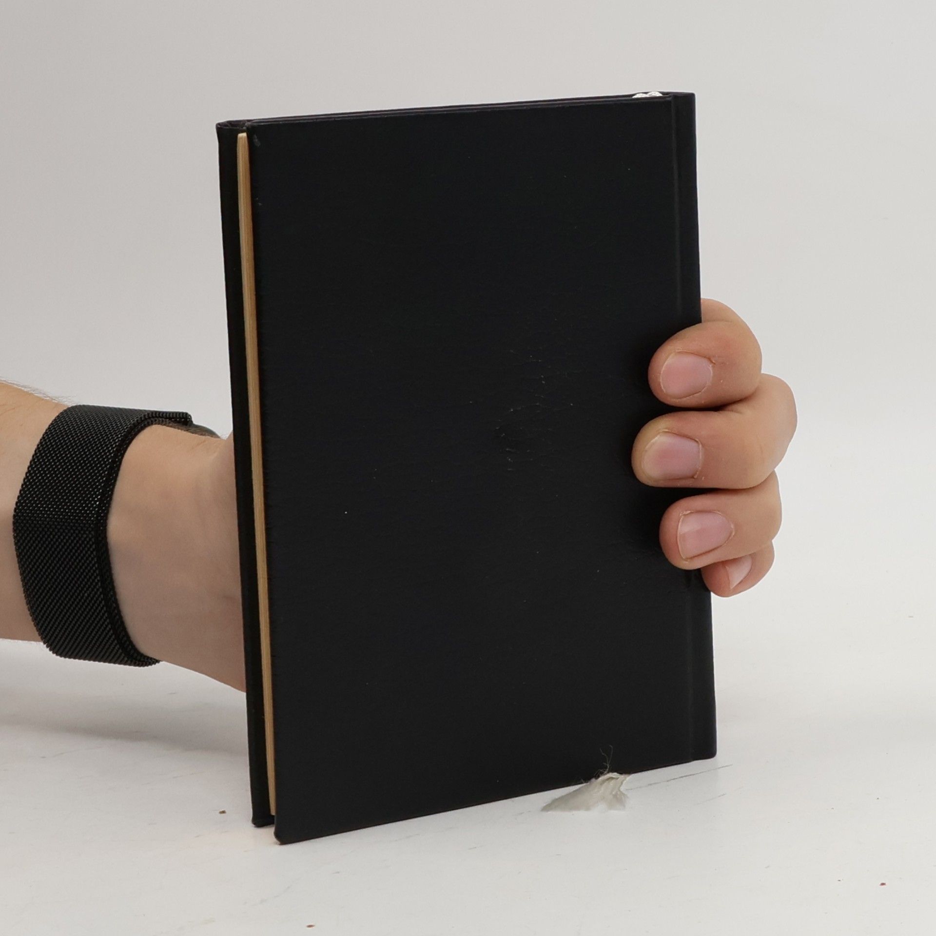 kolektiv Gesangbuch