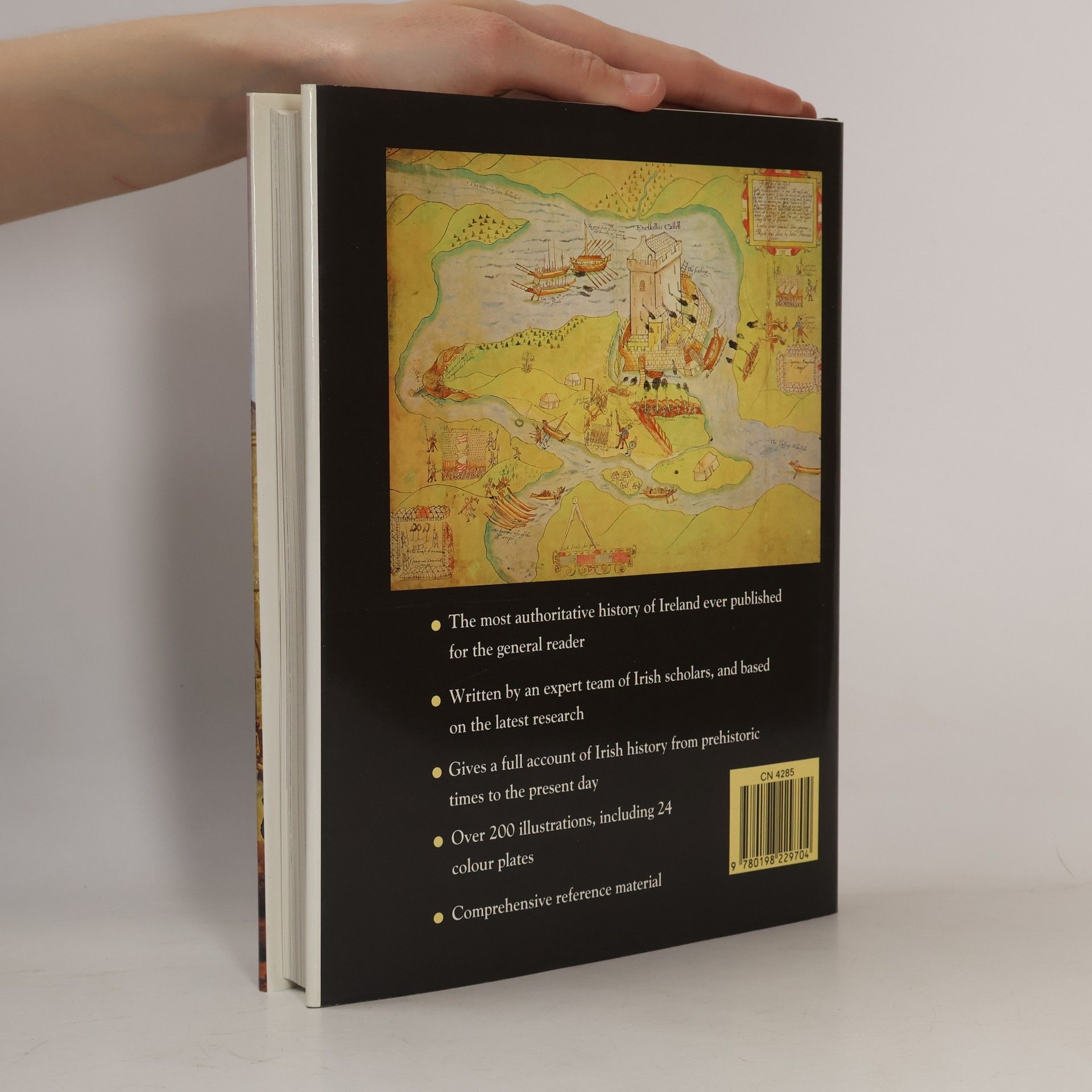 R. F. Foster The Oxford Illustrated History of Ireland