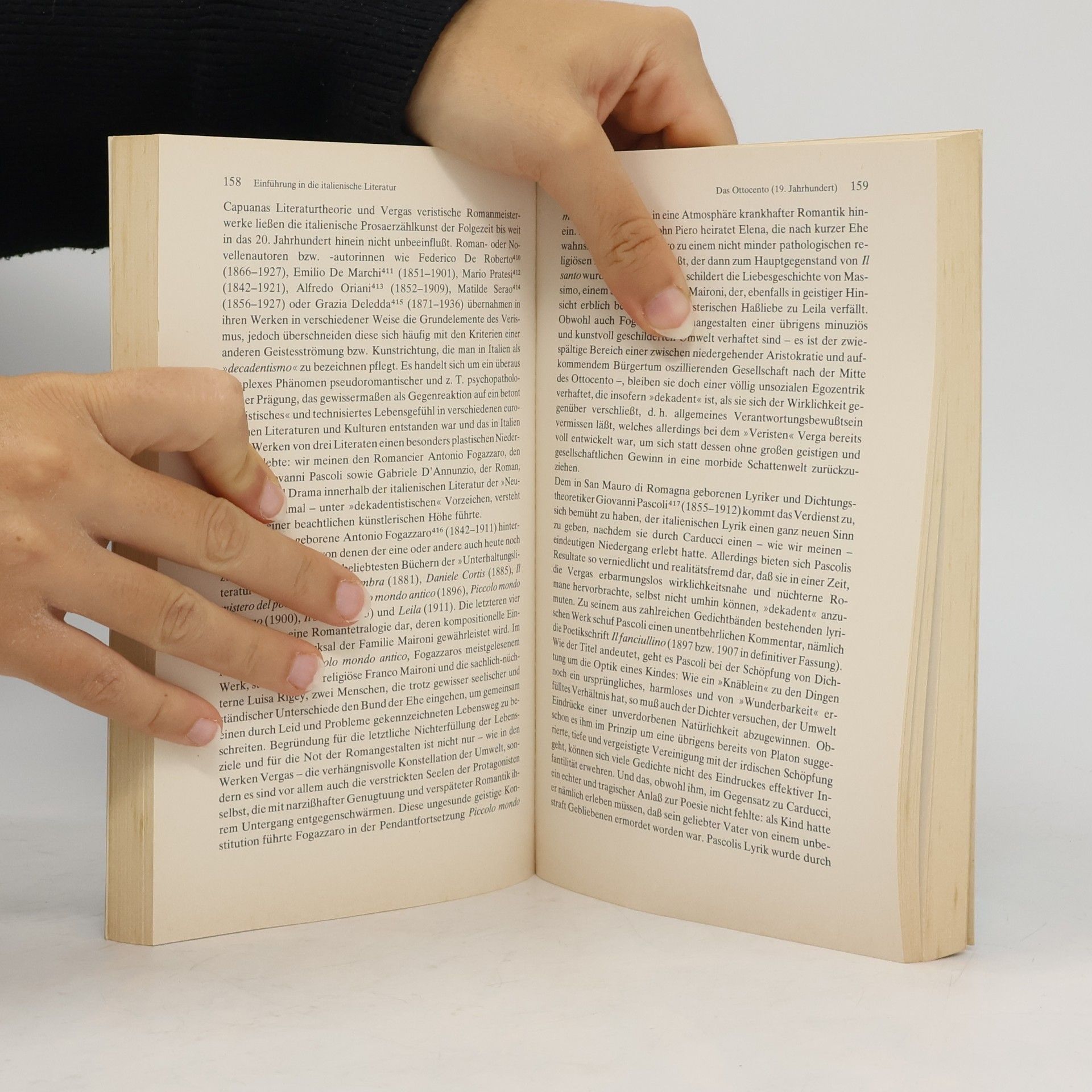 Heinz Willi Wittschier Die italienische Literatur