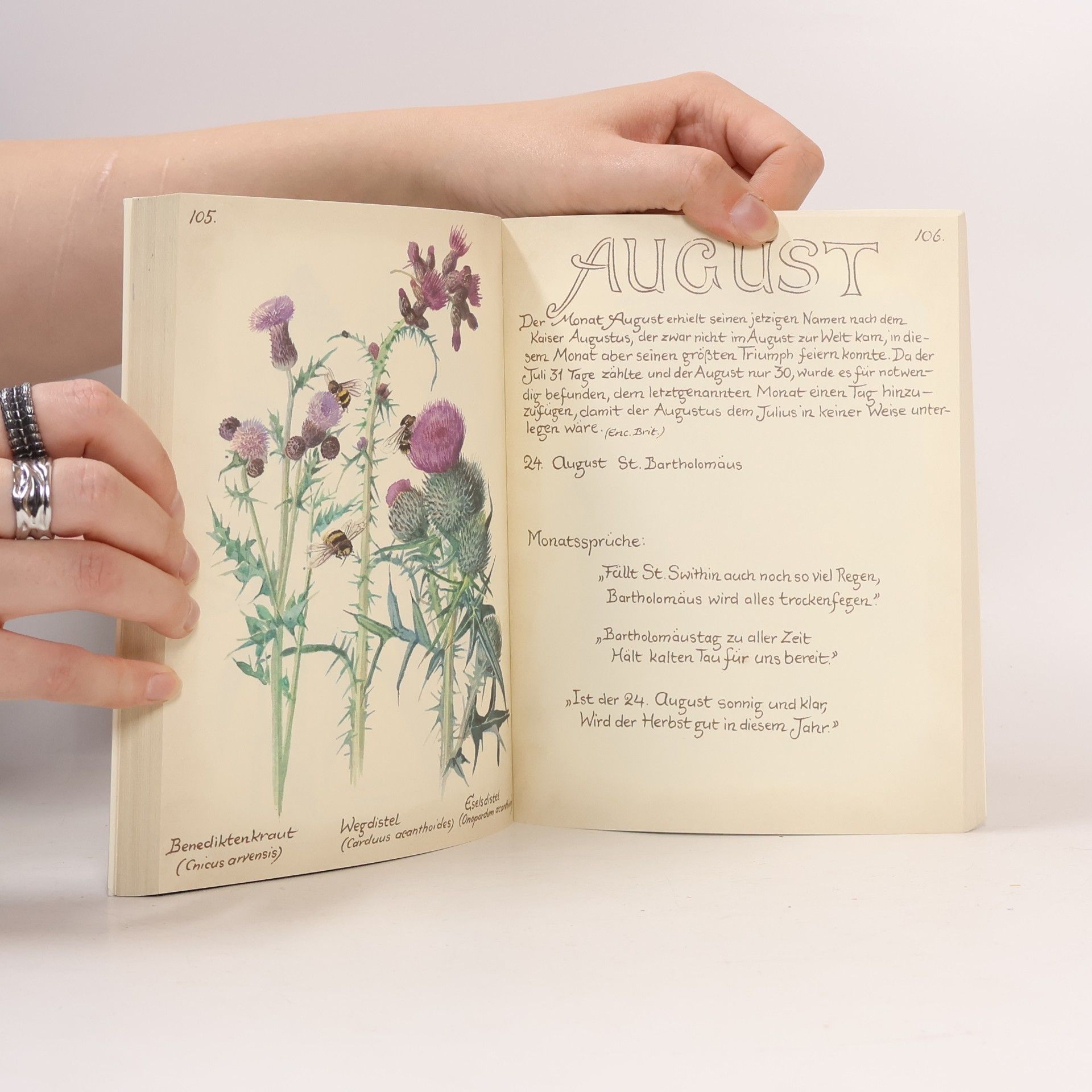 Edith Holden Vom Glück, mit der Natur zu leben