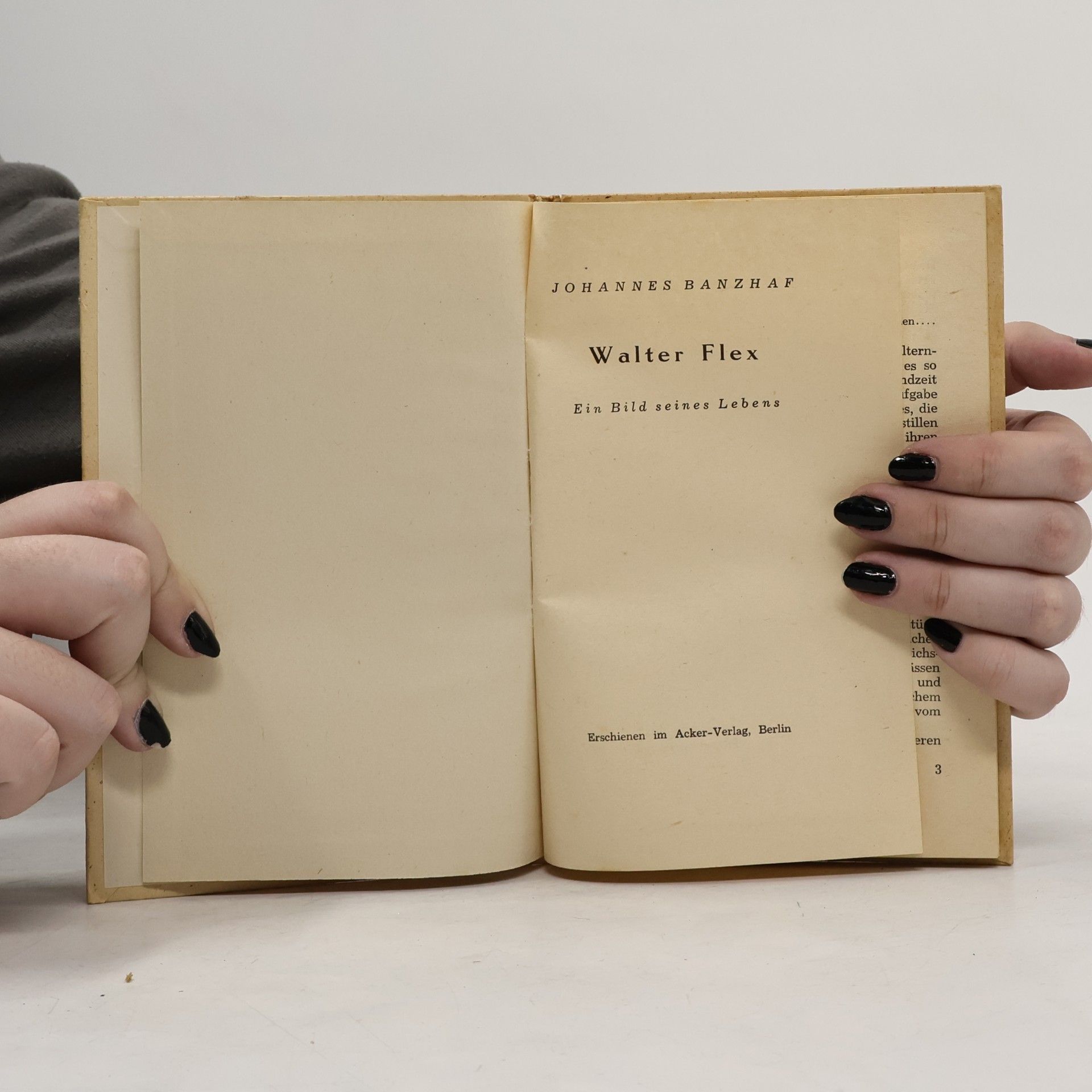 Johannes Banzhaf Walter Flex. Ein Bild seines Lebens