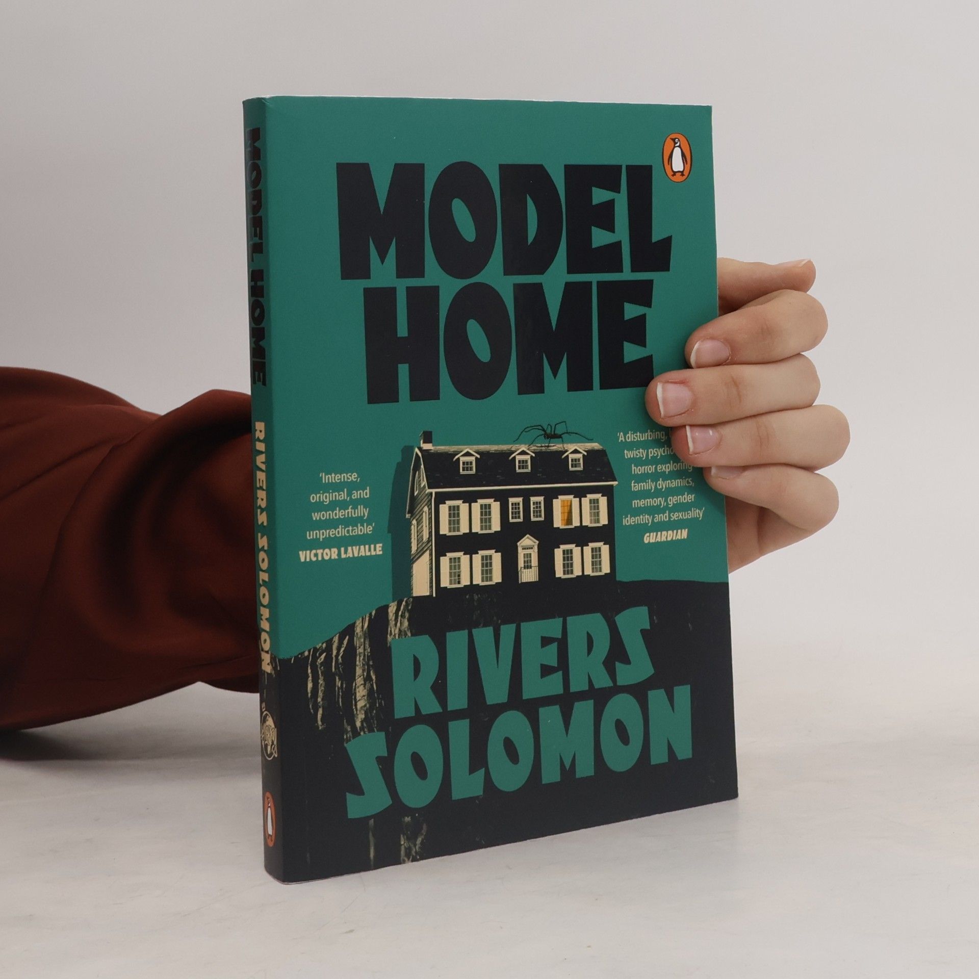 Rivers Solomon Model Home