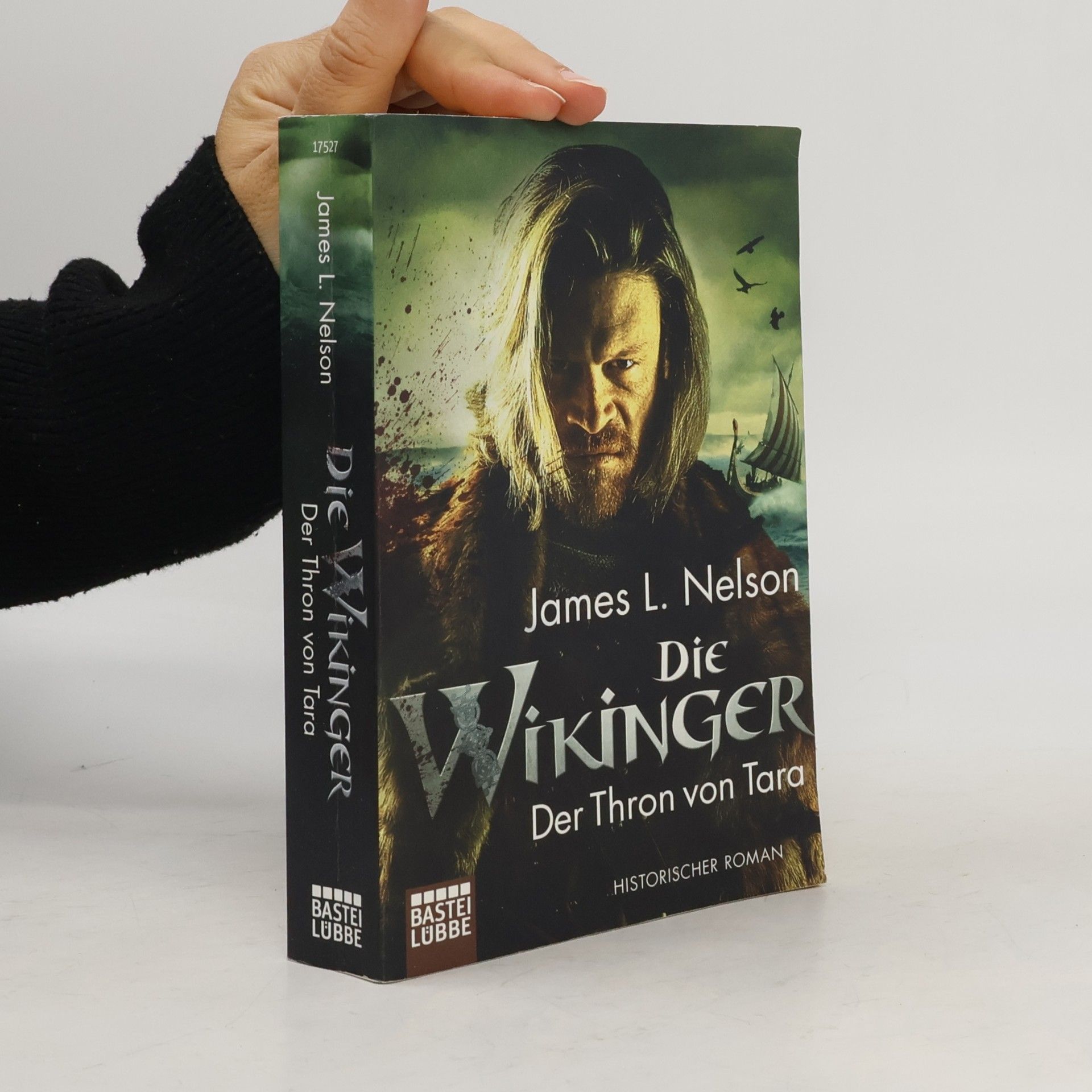 Die Wikinger - der Thron von Tara