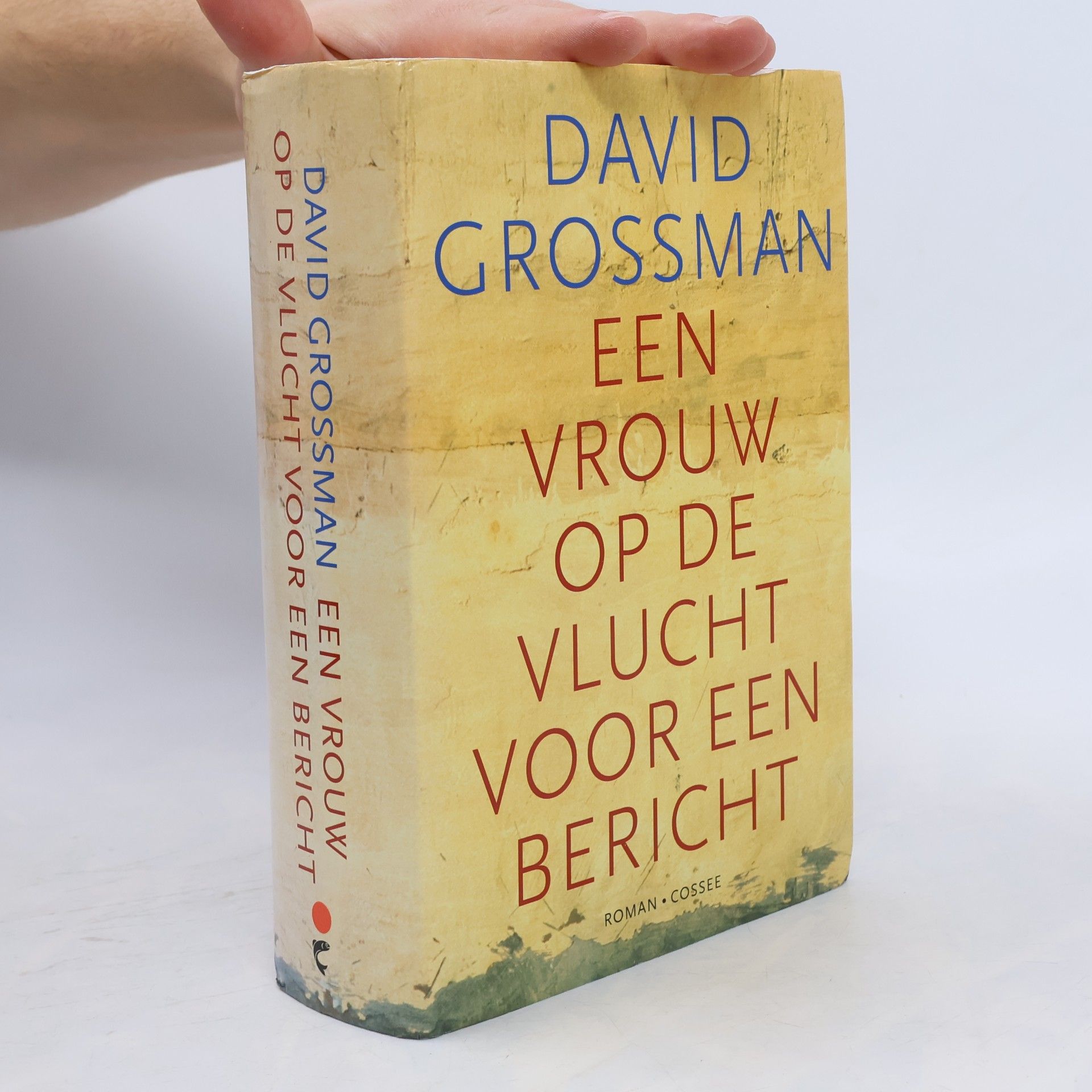 David Grossman Een vrouw op de vlucht voor een bericht