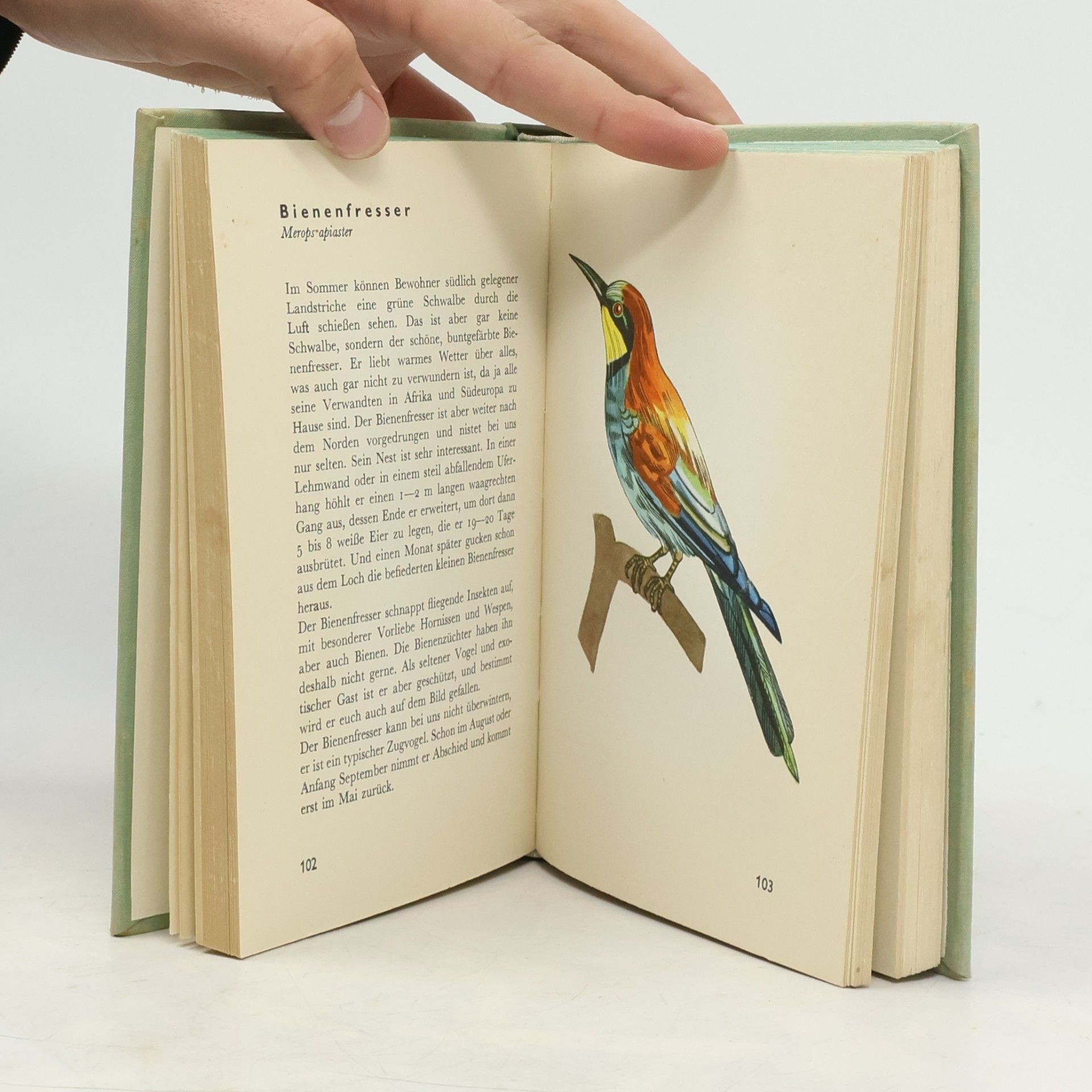 Jaroslav Spirhanzl Duriš Taschenatlas der Vögel