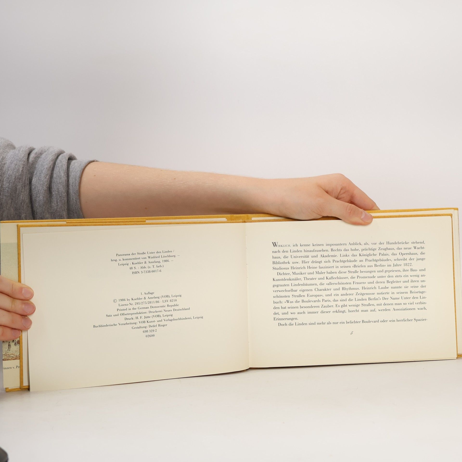 Various authors Panorama der Straße Unter den Linden