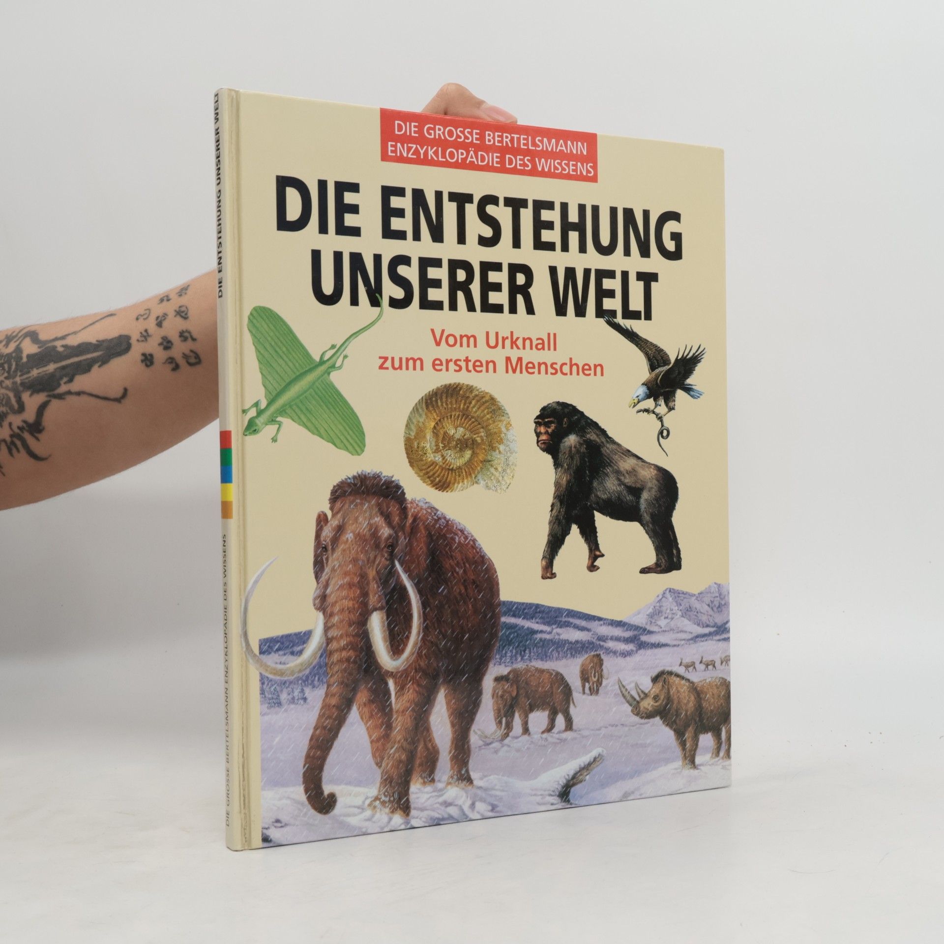 Autorenkollektiv Die Entstehung unserer Welt
