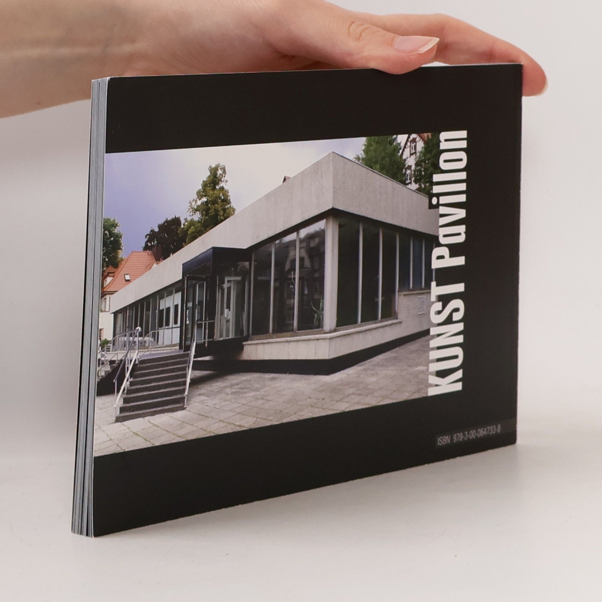 Peter Schäfer 100 Jahre Bauhaus