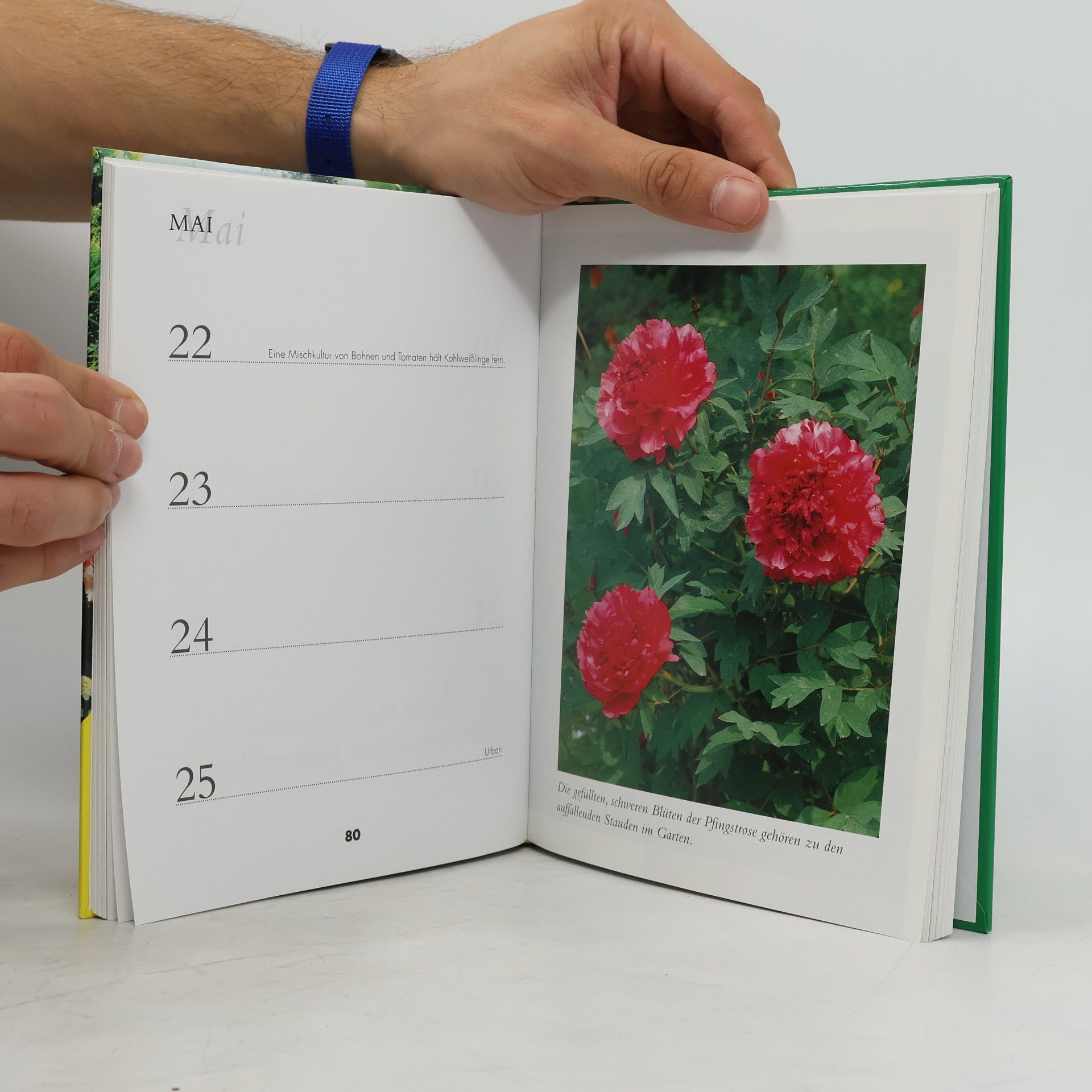 Sebastian Holzner Der große Gartenkalender für jedes Jahr