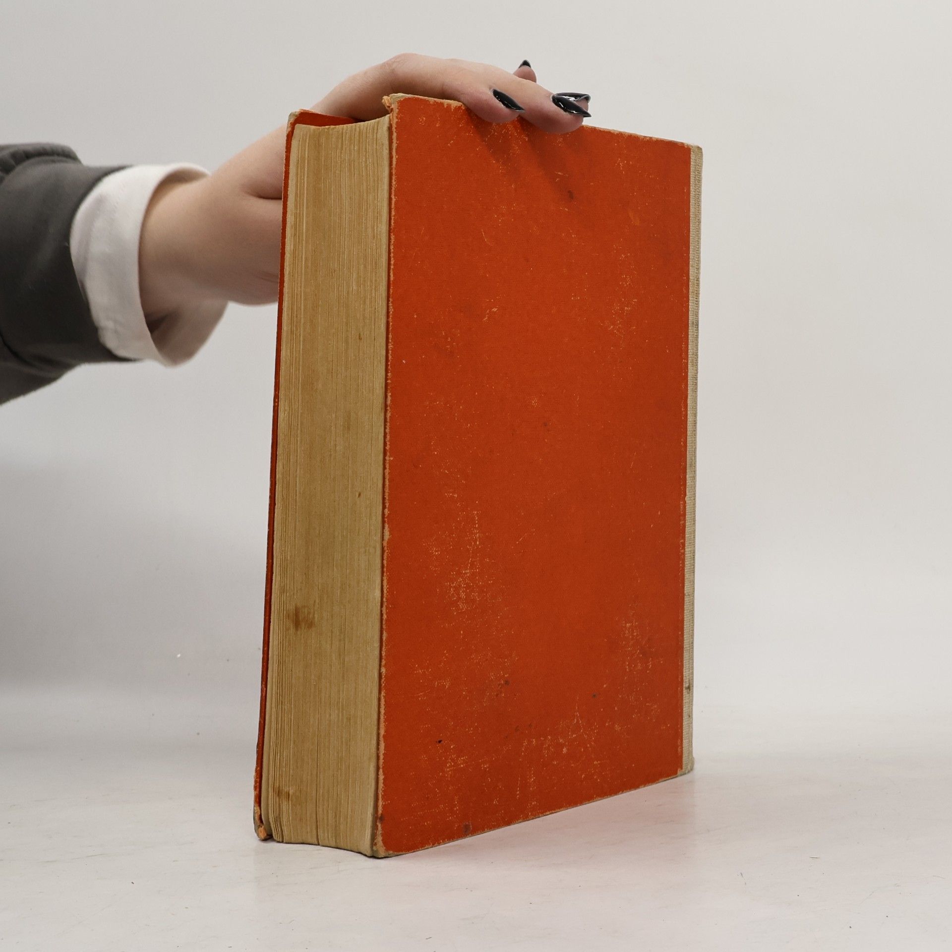 Rudolf Wollmann Werkbuch für Jungen