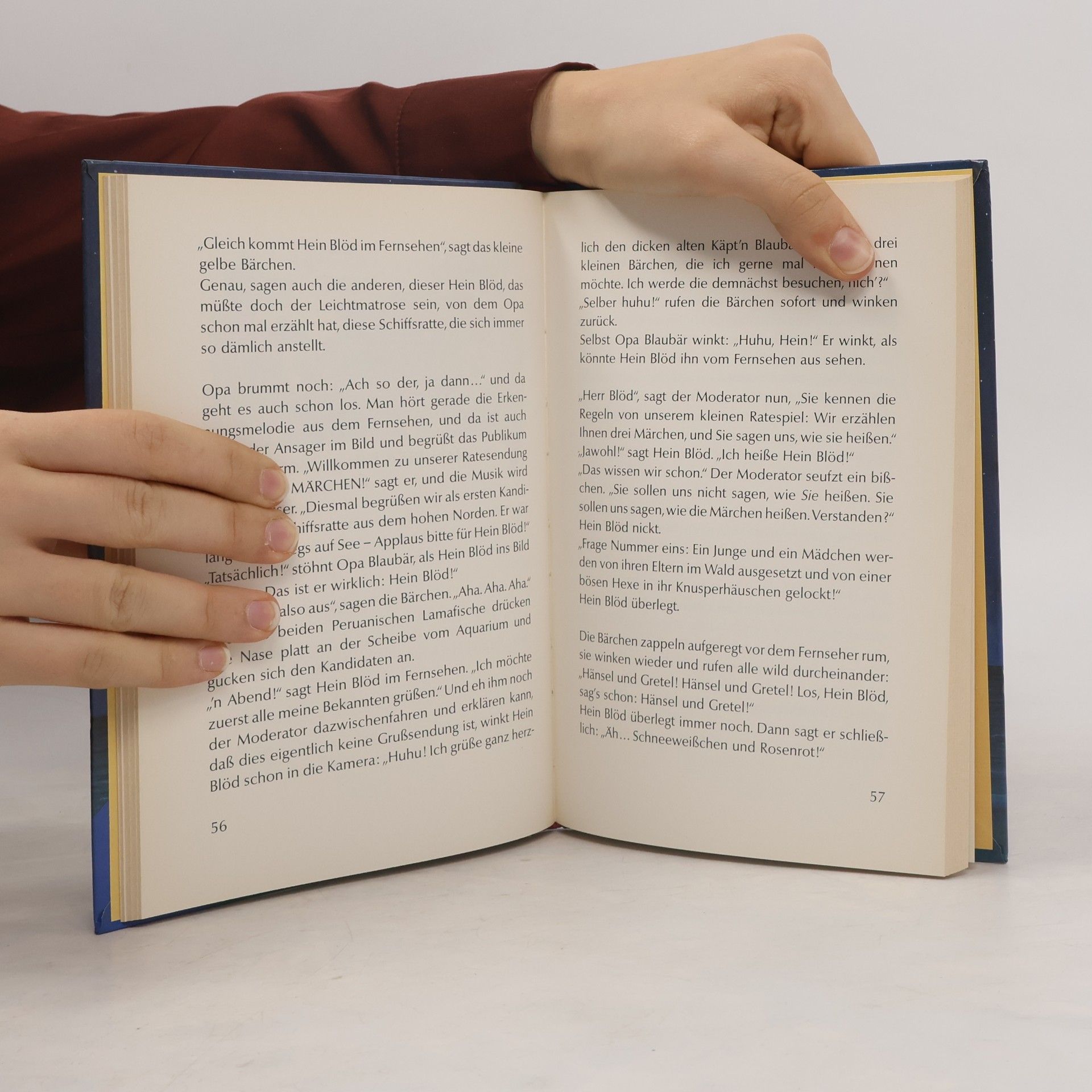 Bernhard Lassahn Käpt'n Blaubärs Geschichtenbuch