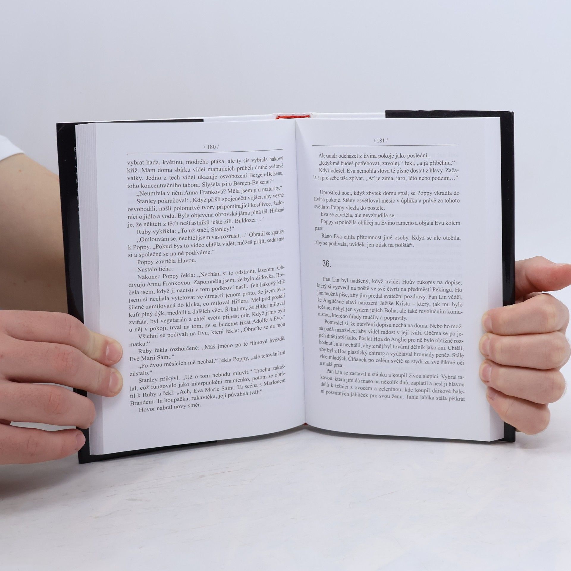 Sue Townsend Žena, která si šla lehnout a rok nevstala