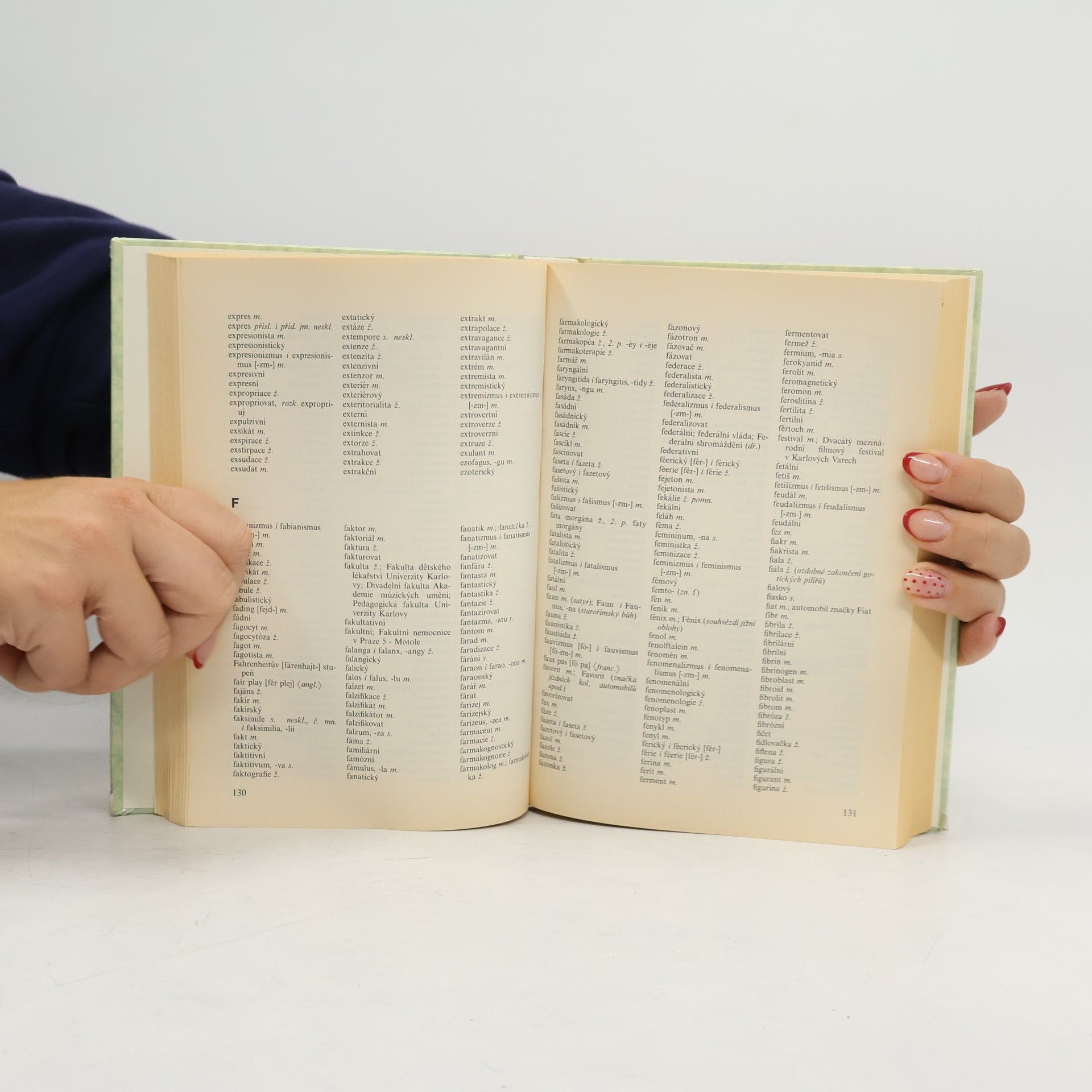 Kolektiv autorů Akademická pravidla českého pravopisu